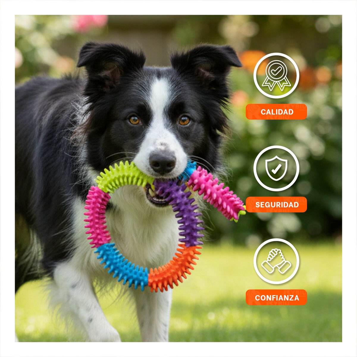 PACK4 ACCESORIO PARA JUEGO INTERACTIVO DE JEBE PUNTEADO DE COLORES - 3