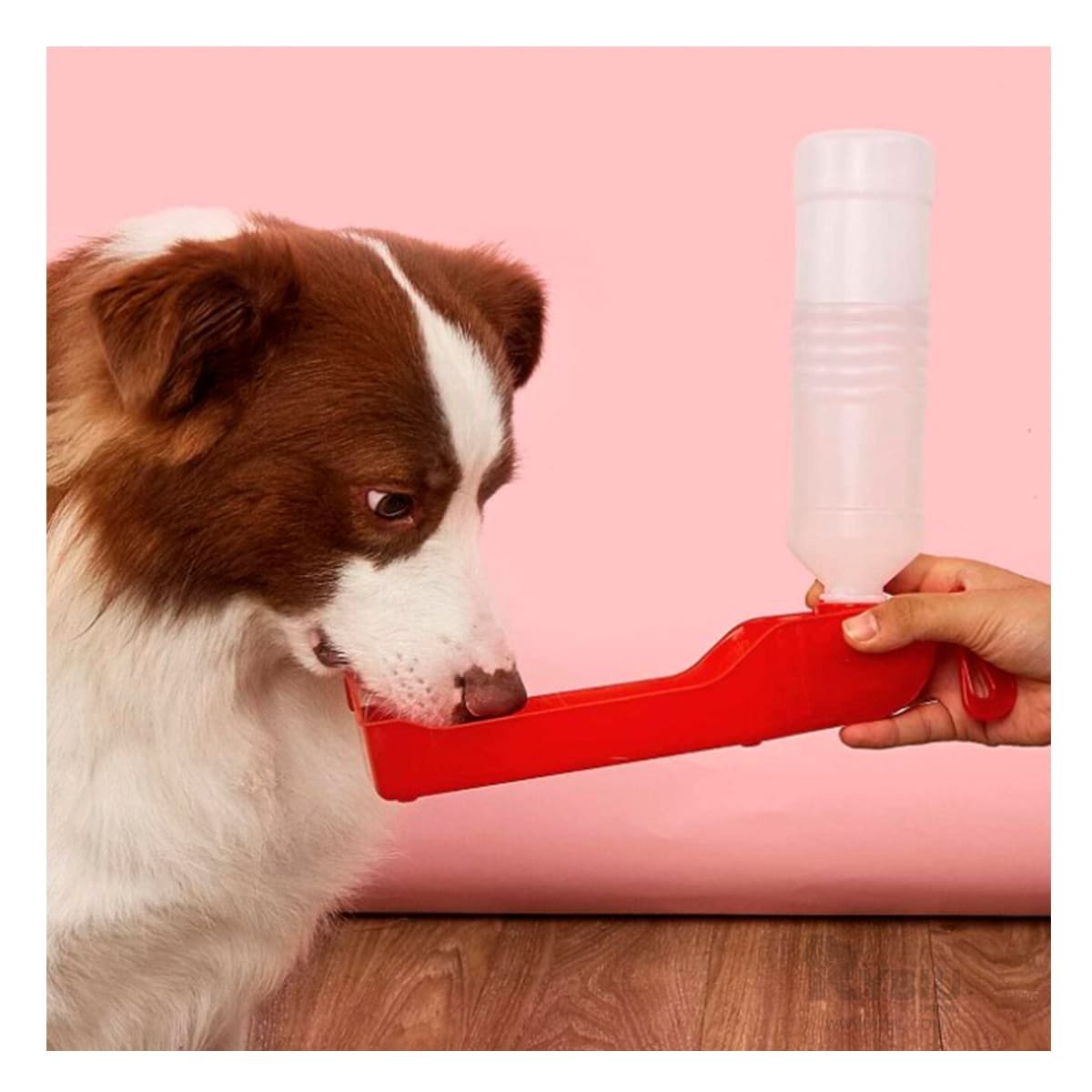 PACK12 DEPOSITO FUNCIONAL ROJO PARA MASCOTA CON DISPENSADOR INTEGRADO Y+PAPEL REGALO - 5