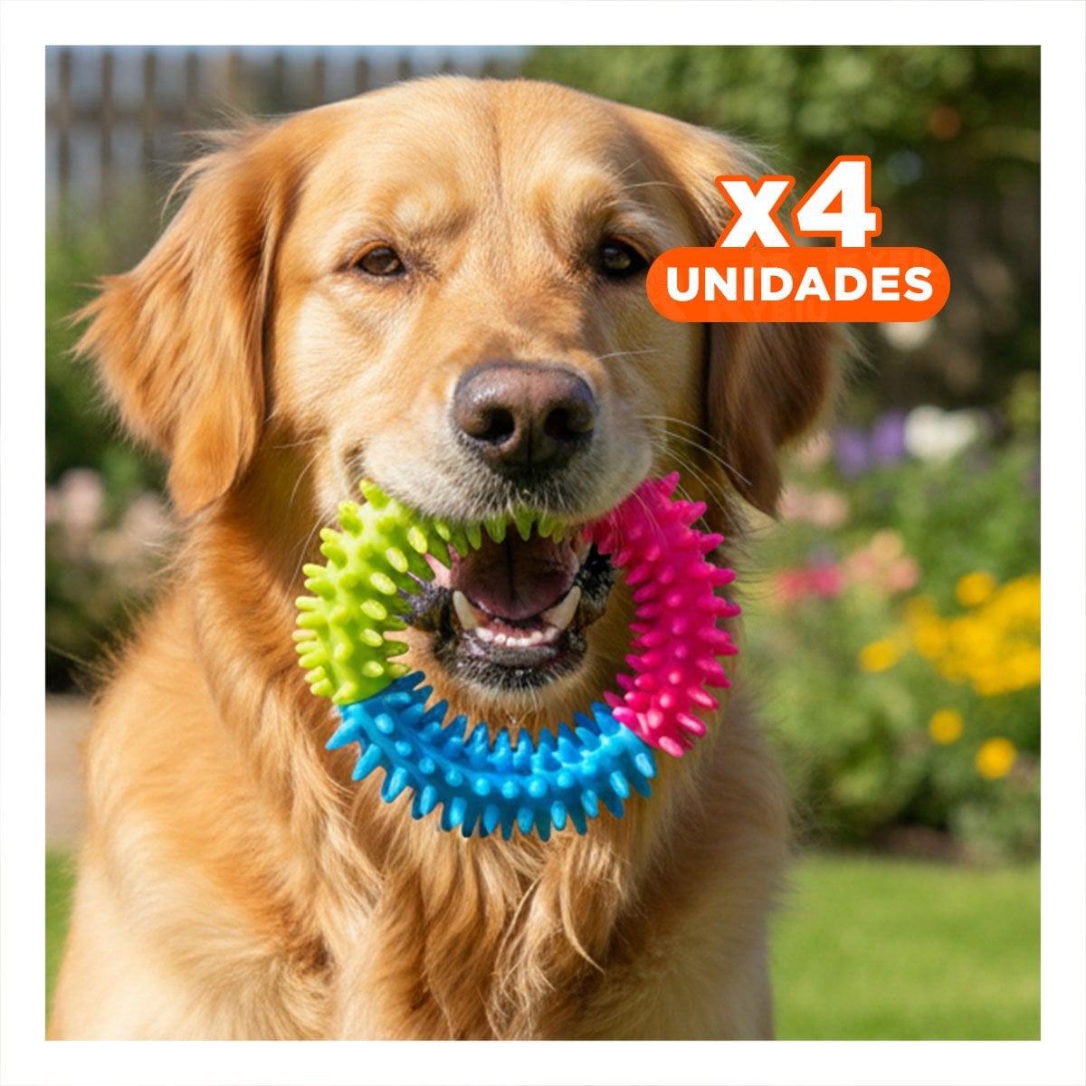 PACK4 ACCESORIO LIGERO PARA MASCOTAS JEBE PUNTEADO DE COLORES SURTIDOS - 1