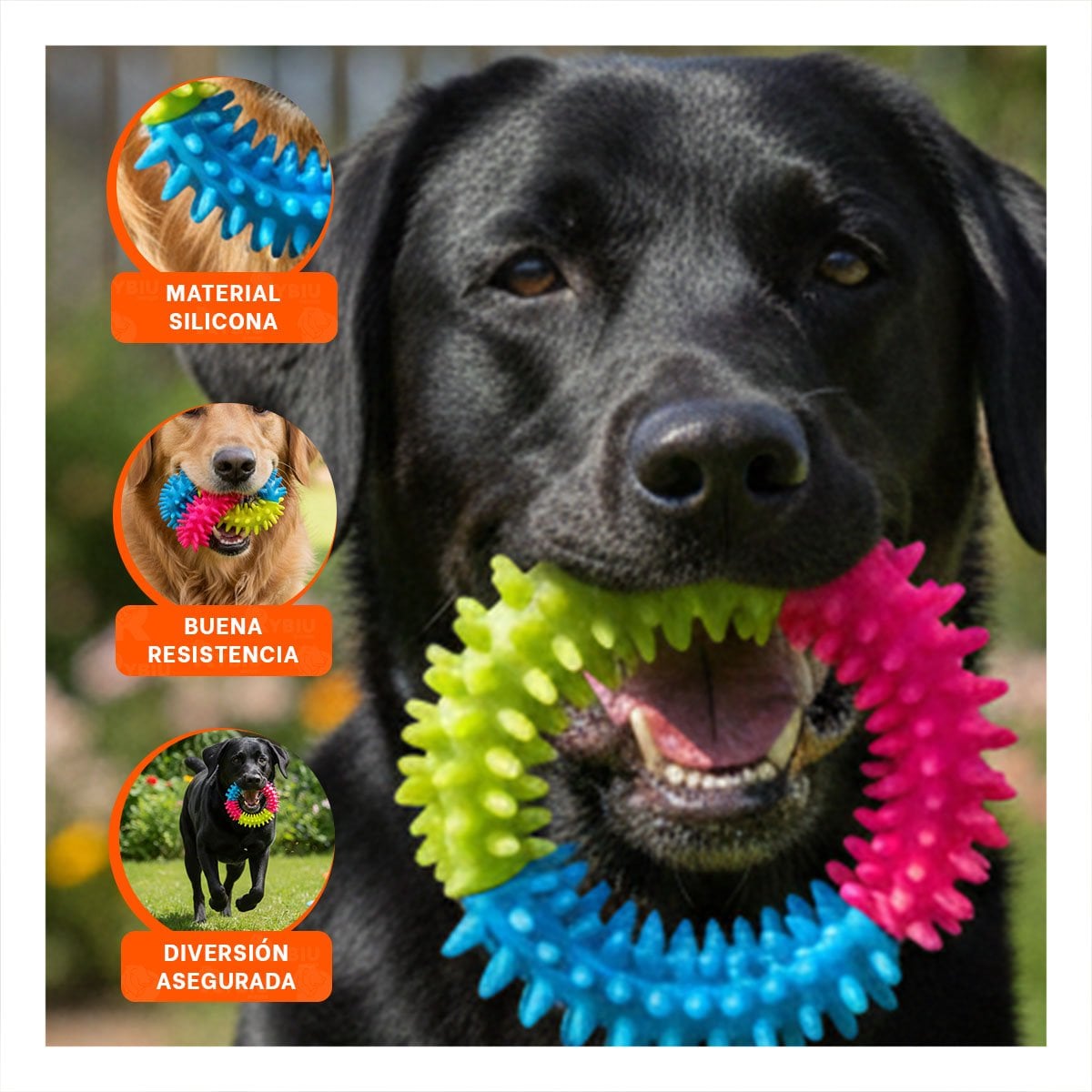 PACK6 JUEGO PRACTICO PARA MASCOTAS JEBE PUNTEADO DE COLORES VARIADOS Y+REGALO STICKER - 3