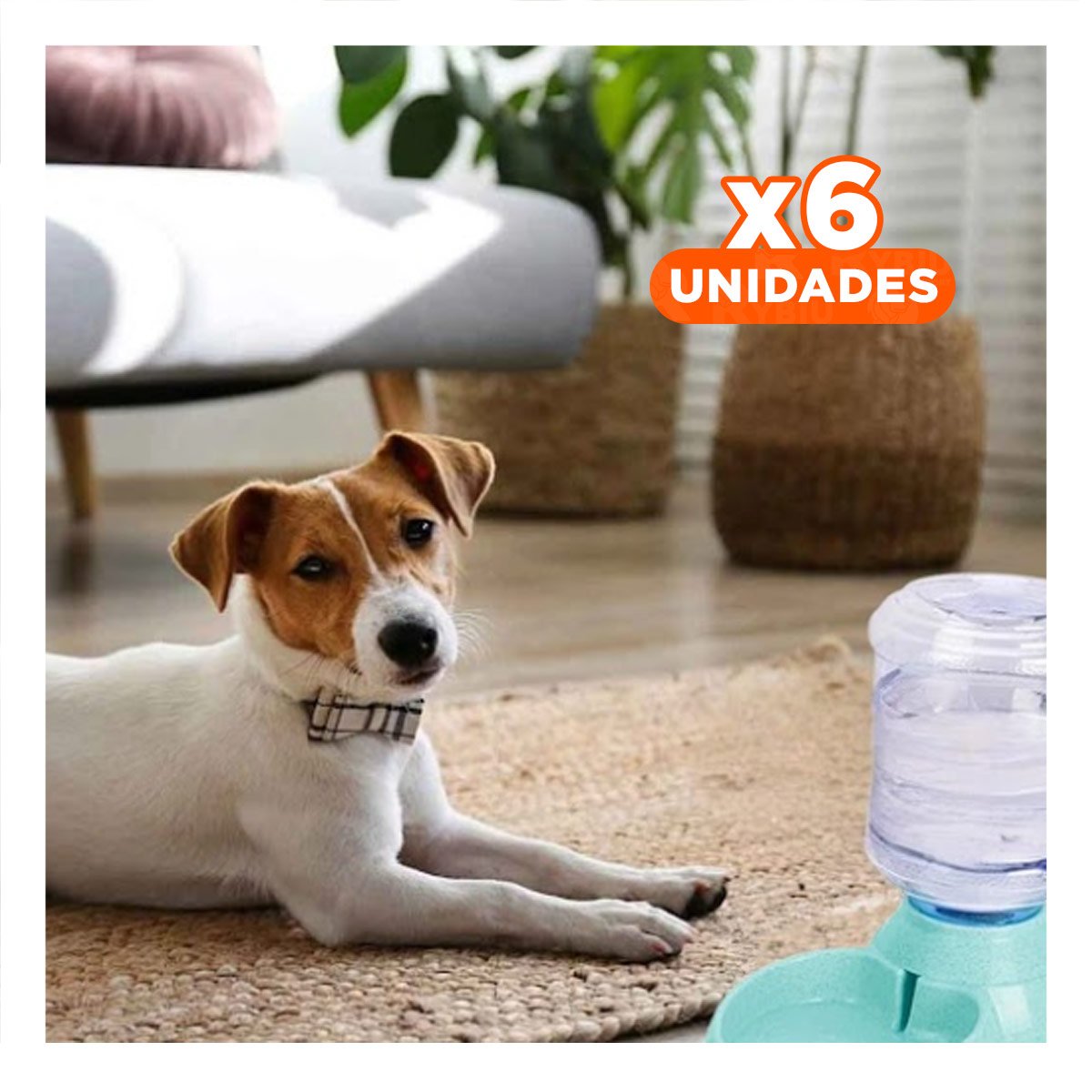 PACK6 MODULO PRACTICO PARA PERRO CIRCULAR CON BIDON DE PLASTICO VERDE Y+REGALO STICKER - 1