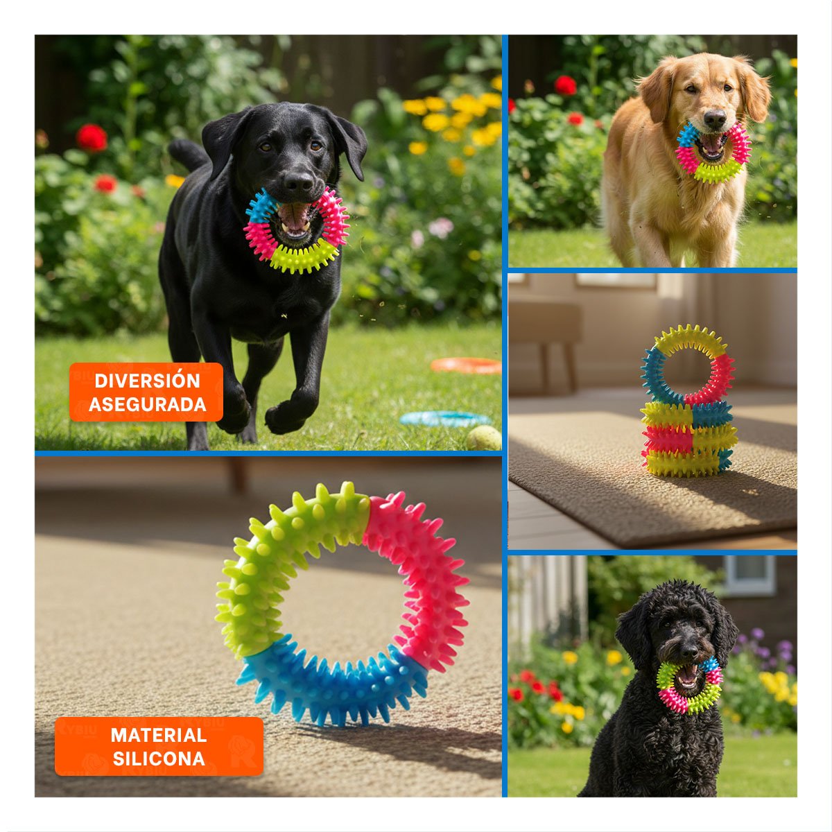 PACK4 DIVERSION SEGURA PARA MASCOTAS JEBE PUNTEADO DE COLORES SURTIDOS Y+REGALO STICKER - 2