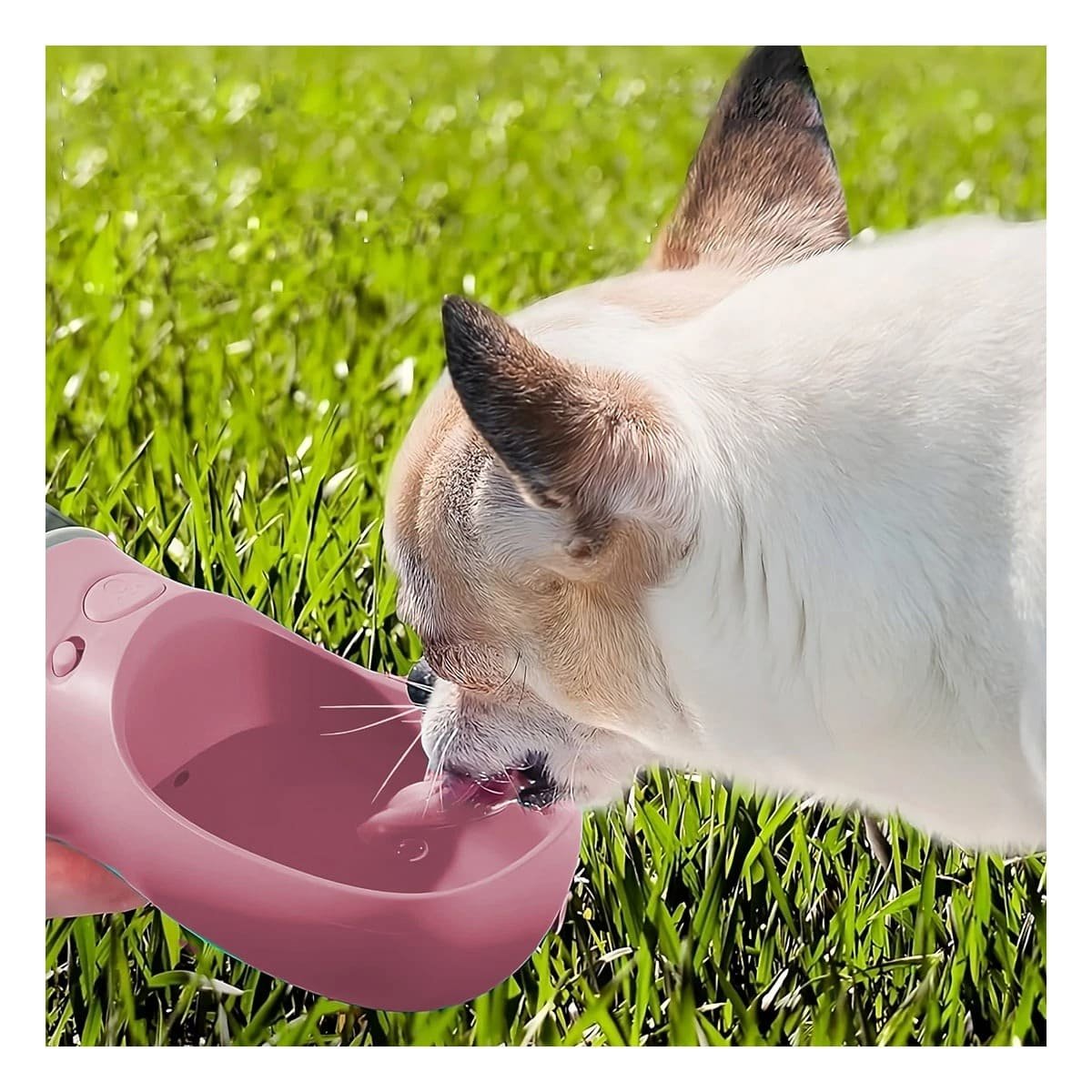 SET 4 EN 1 DISPENSADOR CON BOLSITA ROSADO MEDIANO PARA PASEO DIARIO Y+PAPEL REGALO - 3