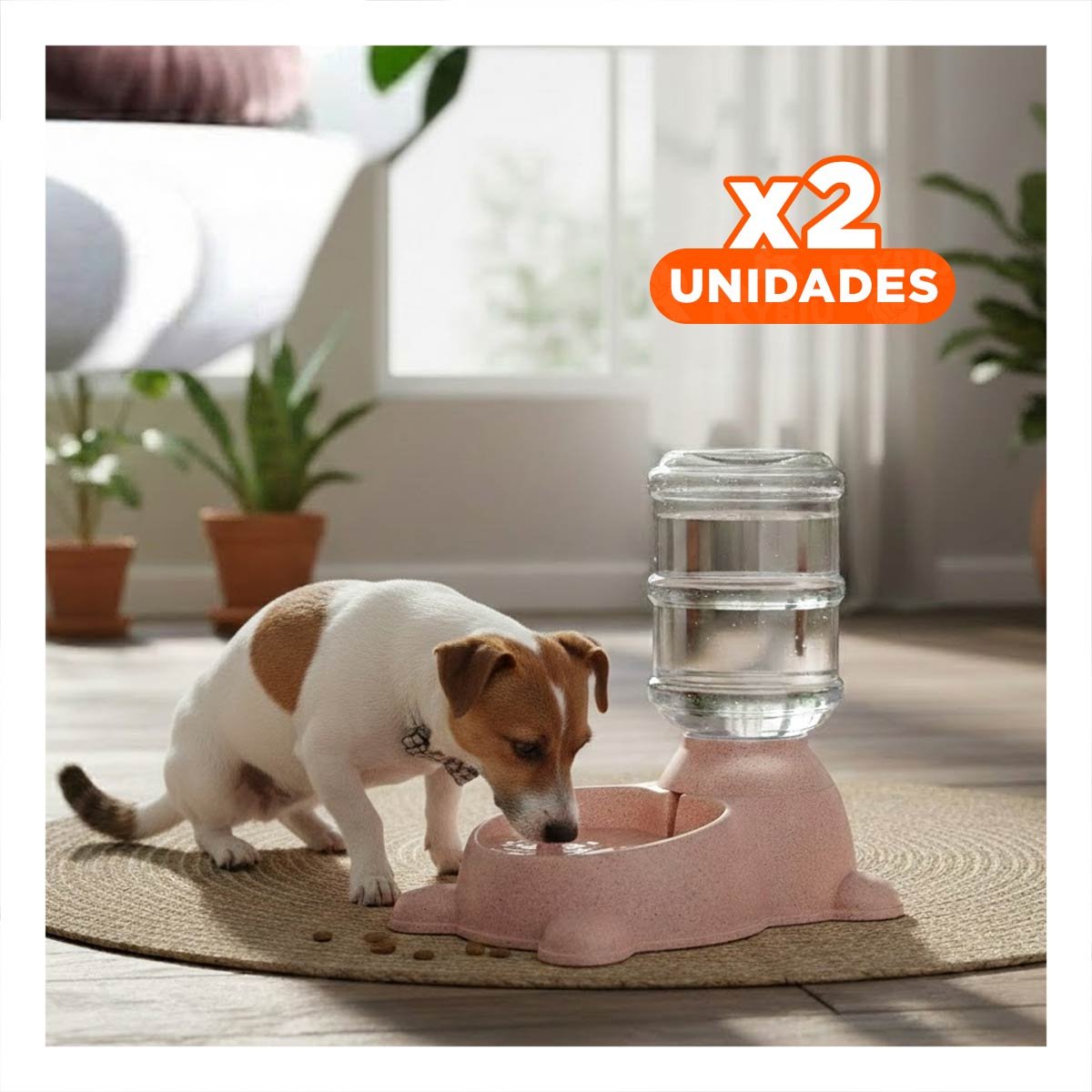 PACK2 COMPLEMENTO FUNCIONAL PARA PERRO PLOMO CIRCULAR CON BIDON ROSADO Y+REGALO STICKER - 1