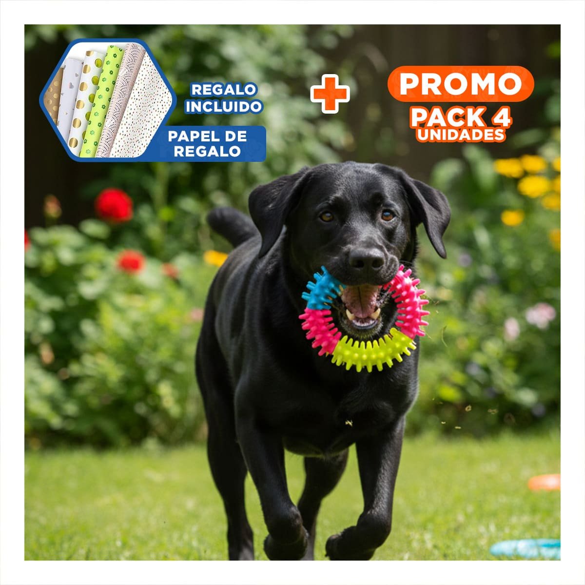 PACK4 PARA PERROS JUGUETE FUNCIONAL JEBE PUNTEADO DE COLORES VARIADOS Y+PAPEL REGALO - 1