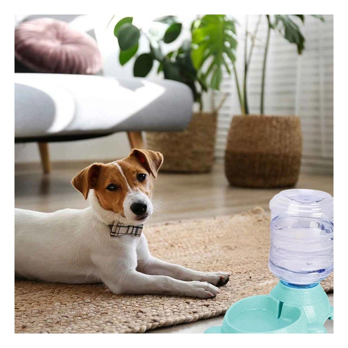 PACK4 DISPENSADOR PRACTICO PARA PERRO CIRCULAR CON BIDON DE PLASTICO VERDE Y+PAPEL REGALO - 2
