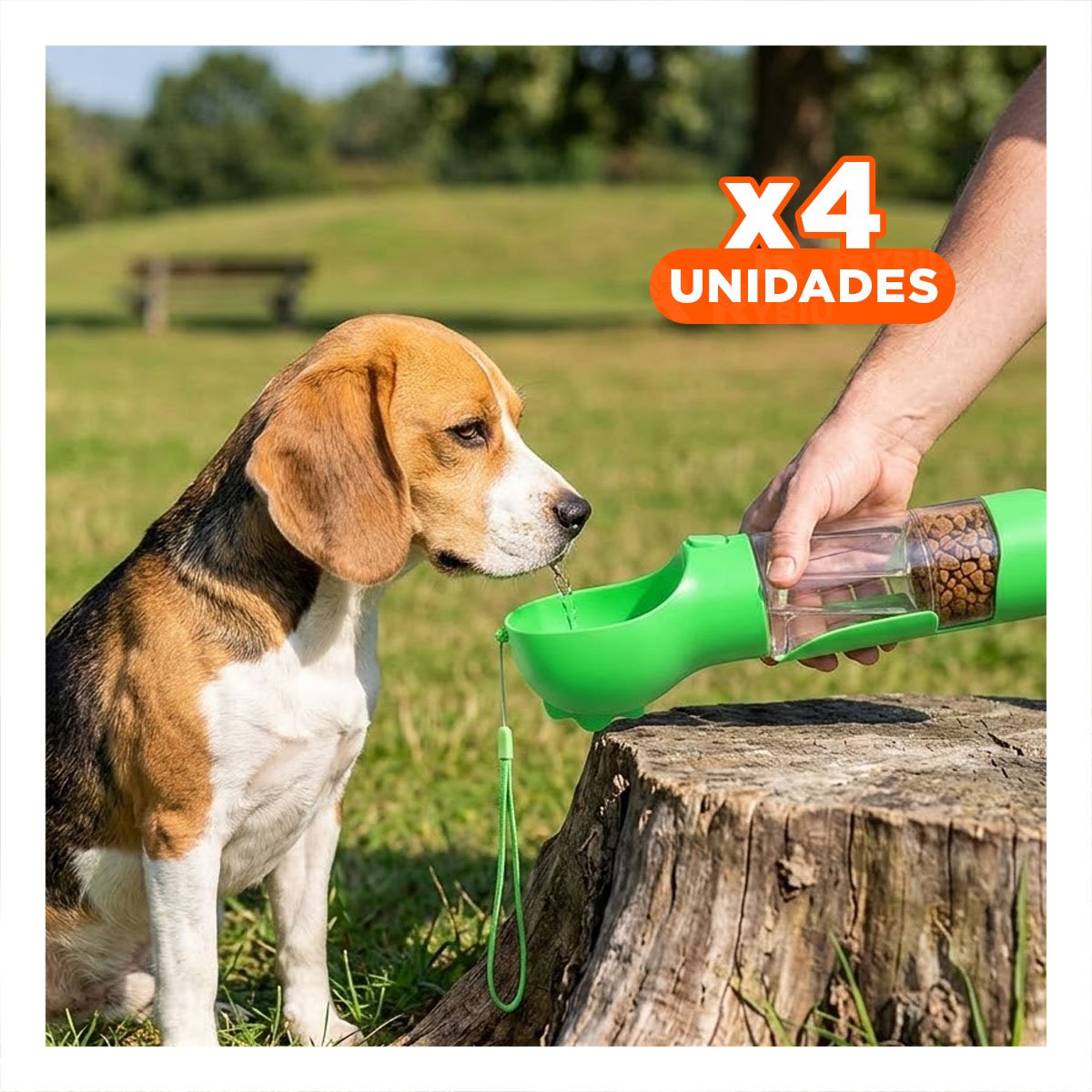 PACK4 PRESENTACION 4 EN 1 DISPENSADOR CON BOLSITA VERDE MEDIANO FUNCIONAL - 1