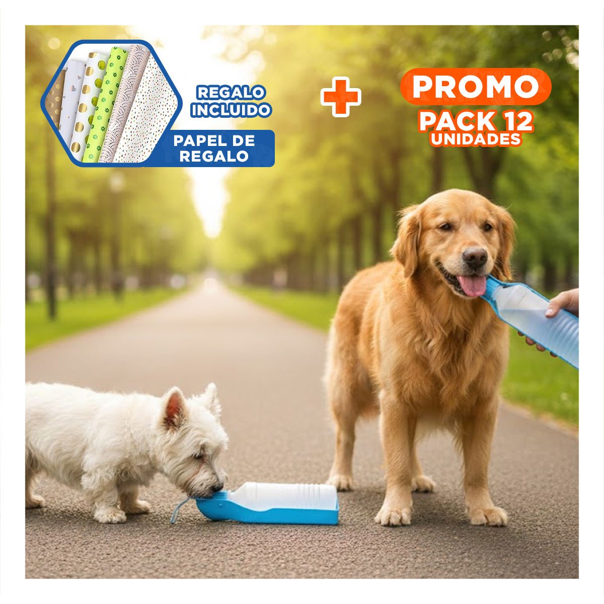 PACK12 ENVASE FUNCIONAL CELESTE PARA PERRO CON SISTEMA SIMPLE Y COMPACTO Y+PAPEL REGALO - 1