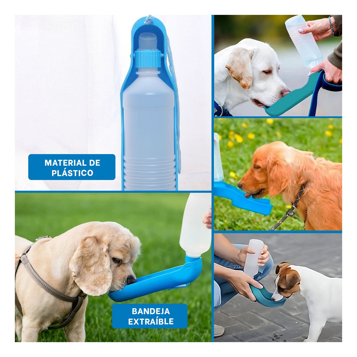 PACK12 ENVASE FUNCIONAL CELESTE PARA PERRO CON SISTEMA SIMPLE Y COMPACTO Y+PAPEL REGALO - 2