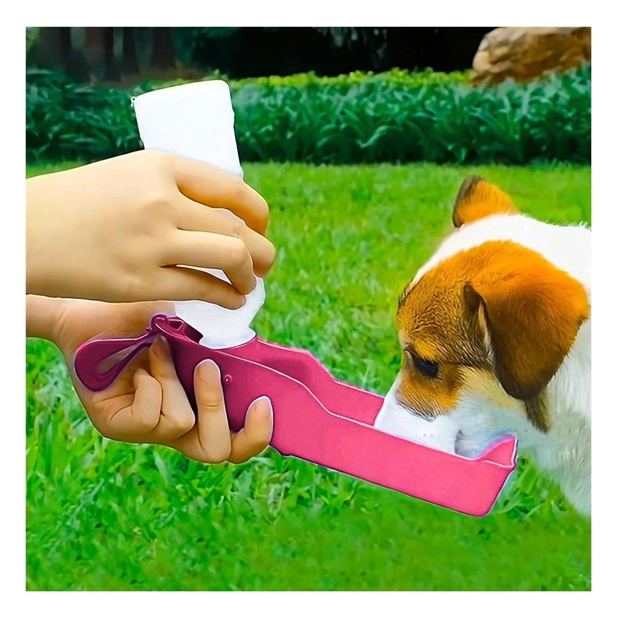 PACK12 SISTEMA COMPACTO ROSADO PARA MASCOTA CON FUNCION PRACTICA Y TRANSPORTE Y+PAPEL REGALO - 5