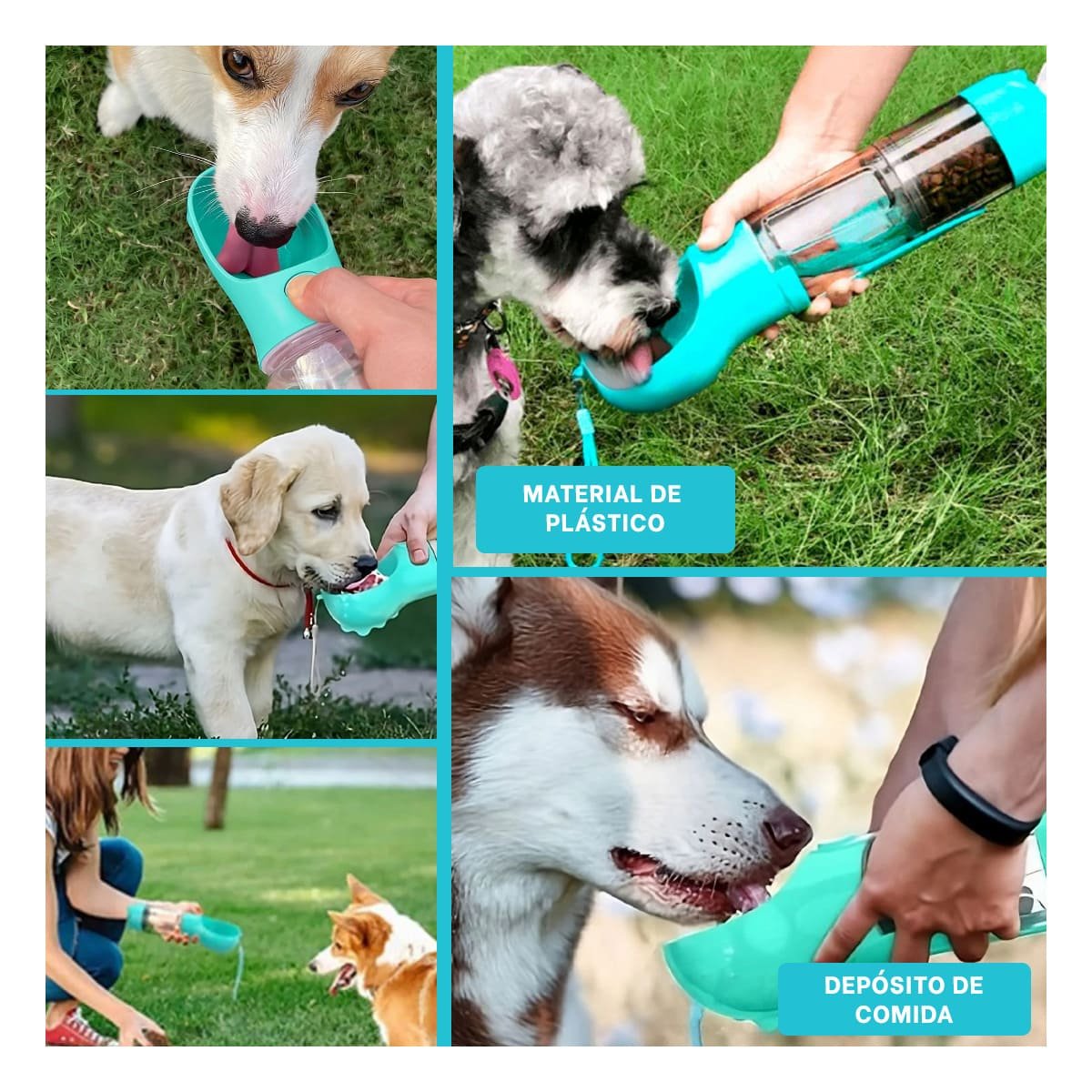 SISTEMA 4 EN 1 DISPENSADOR CON BOLSITA CELESTE MEDIANO PARA MASCOTA Y+LIGAS REGALO - 5