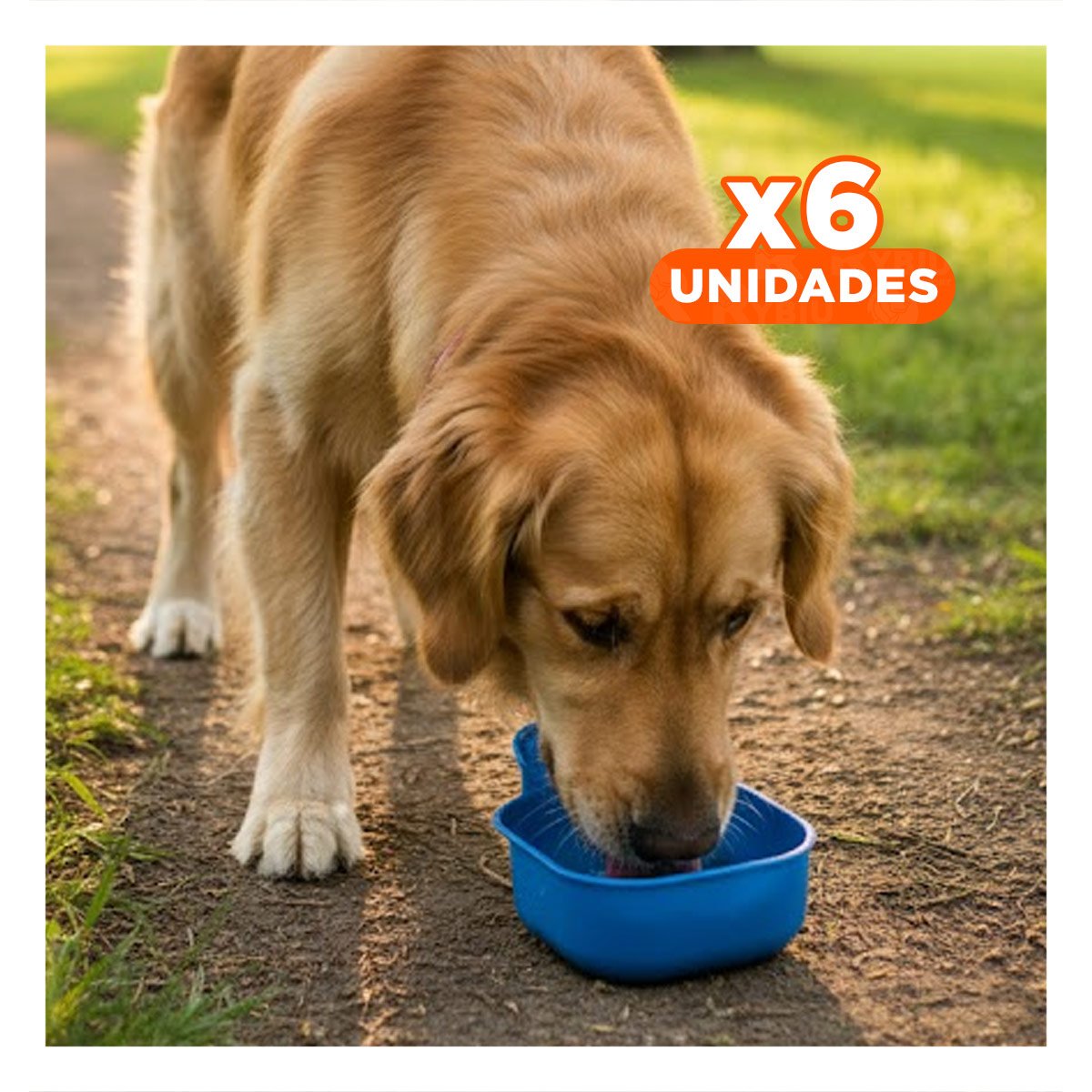 PACK6 ENVASE COMPACTO CELESTE PARA PERRO CON SISTEMA INTEGRADO Y FACIL USO Y+REGALO STICKER - 1
