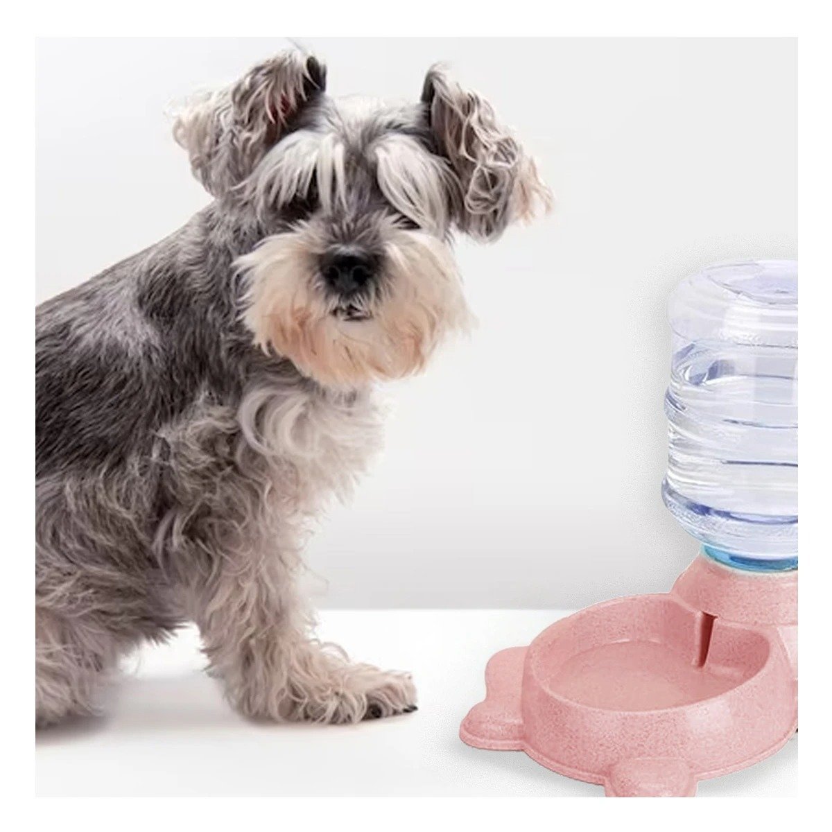 PACK2 EQUIPO PRACTICO PARA PERRO PLOMO CIRCULAR CON BIDON PLASTICO ROSADO - 3