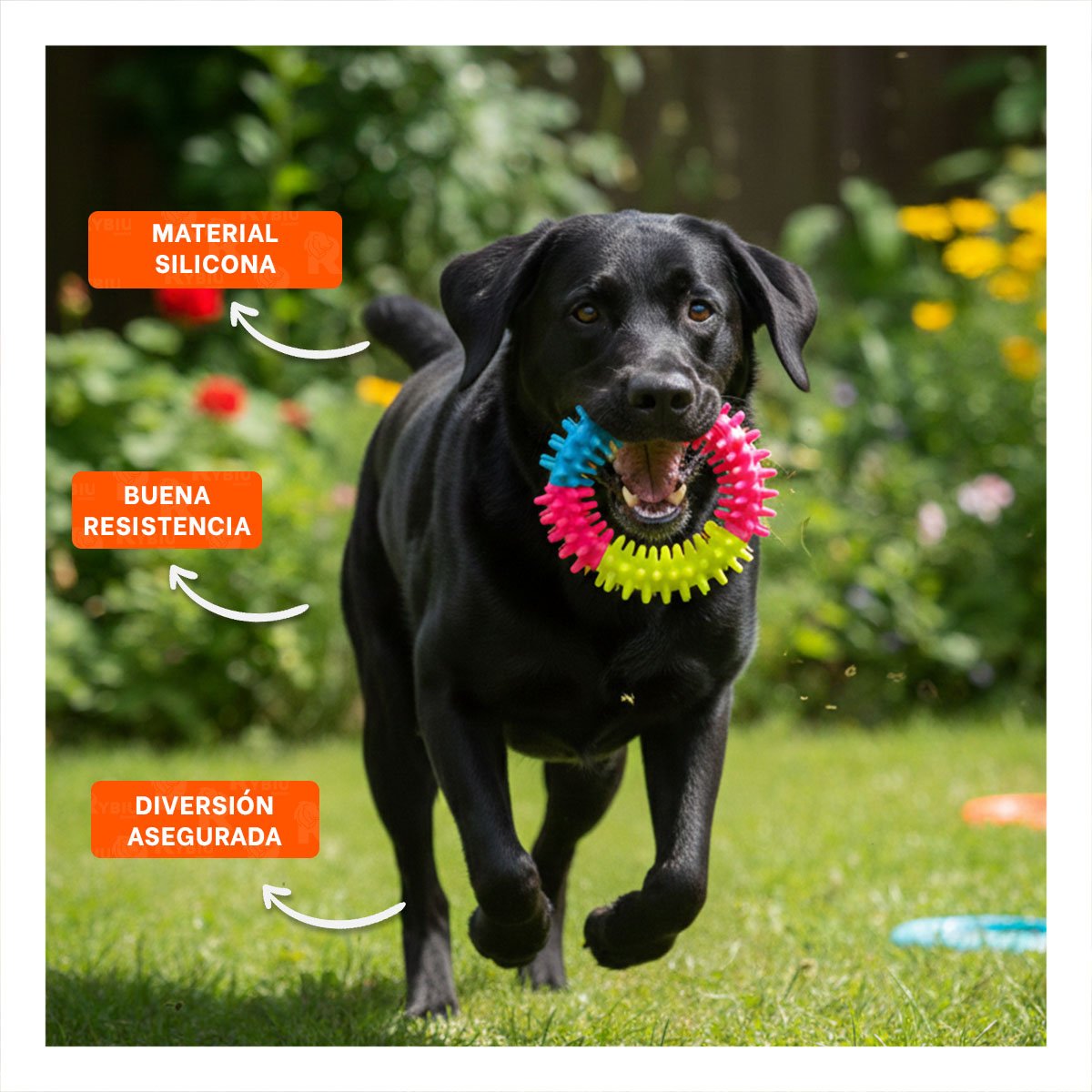PACK6 PARA PERROS ACCESORIO TEXTURIZADO JEBE PUNTEADO DE COLORES SURTIDOS Y+PAPEL REGALO - 2