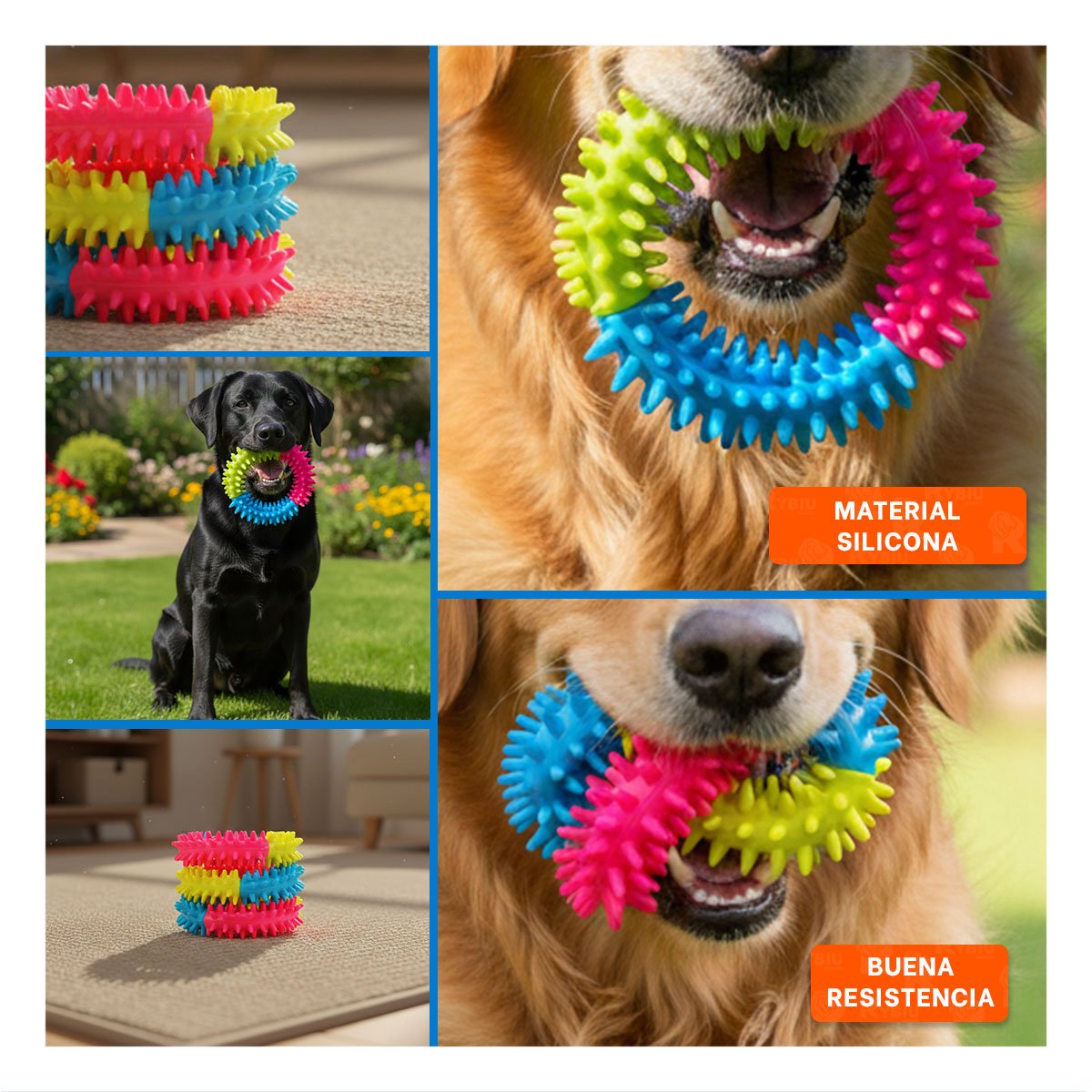 PACK6 PARA PERROS ACCESORIO TEXTURIZADO JEBE PUNTEADO DE COLORES SURTIDOS Y+PAPEL REGALO - 3