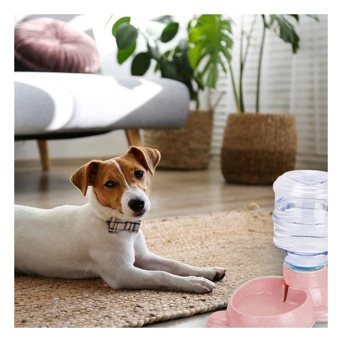PACK4 BASE ESTABLE PARA PERRO PLOMO CIRCULAR CON BIDON PLASTICO ROSADO Y+PAPEL REGALO - 5
