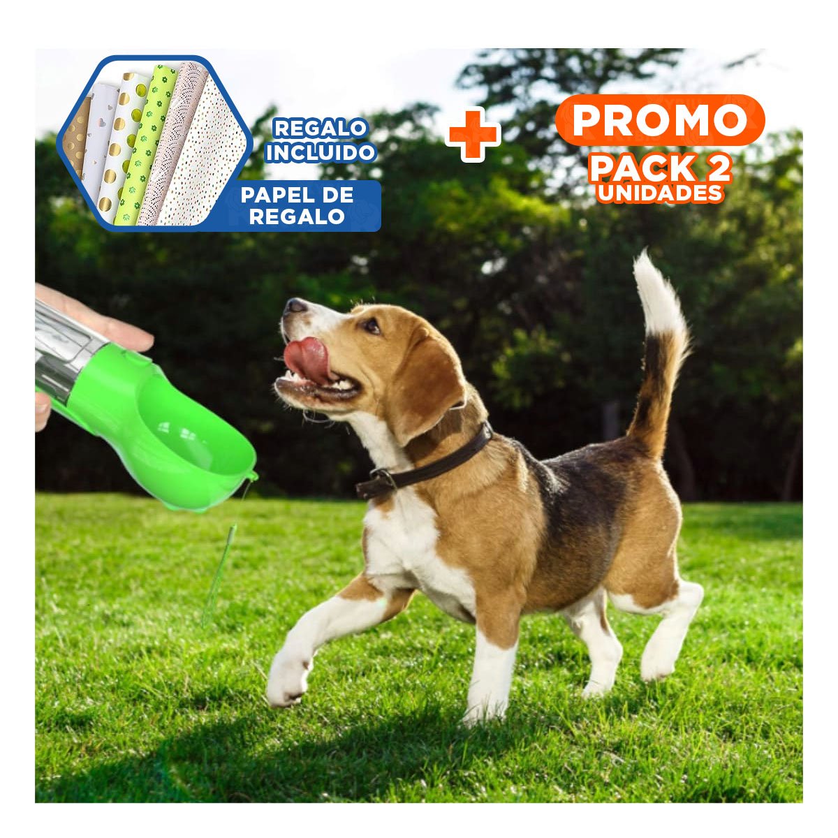 PACK2 PROPUESTA 4 EN 1 DISPENSADOR CON BOLSITA VERDE MEDIANO COMPACTO Y+PAPEL REGALO - 1