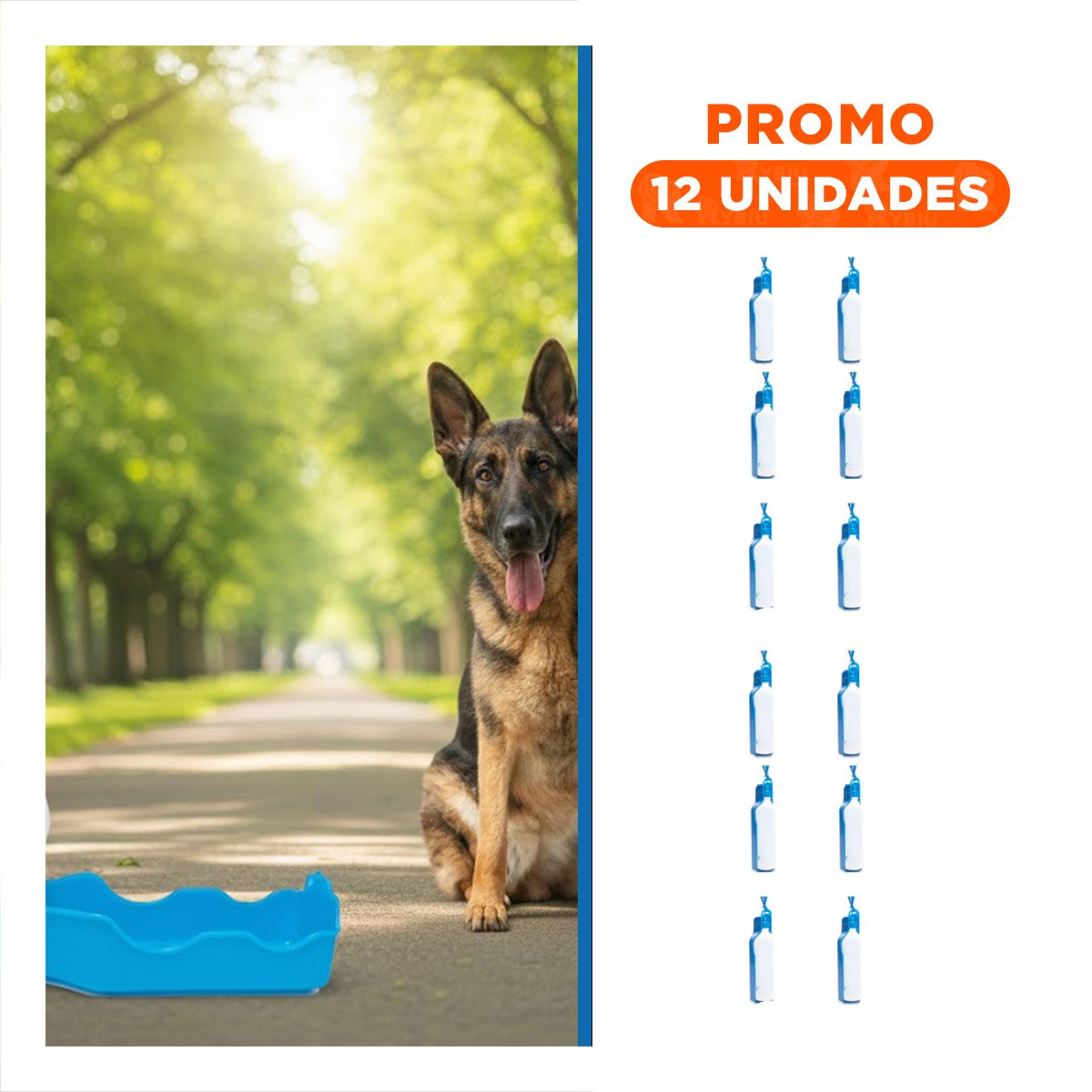 PACK12 SOLUCION FUNCIONAL CELESTE PARA MASCOTA EN PASEOS DIARIOS Y+REGALO STICKER - 1