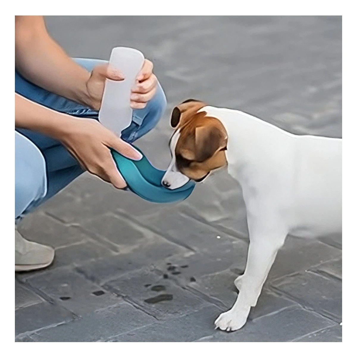 PACK12 SOLUCION FUNCIONAL CELESTE PARA MASCOTA EN PASEOS DIARIOS Y+REGALO STICKER - 5