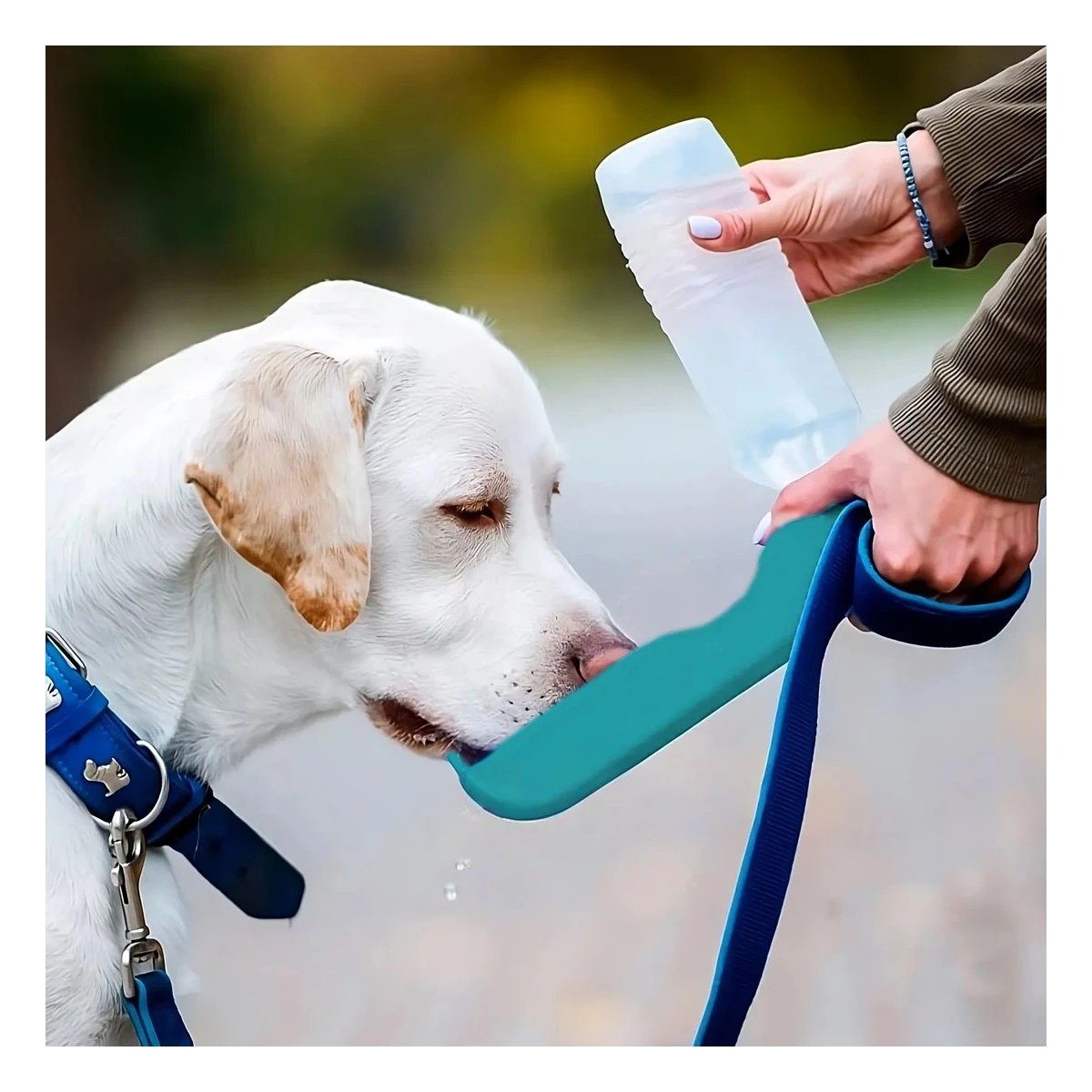 PACK2 EQUIPO COMPACTO CELESTE PARA PERRO CON FUNCION SIMPLE Y TRANSPORTE FACIL Y+REGALO STICKER - 3