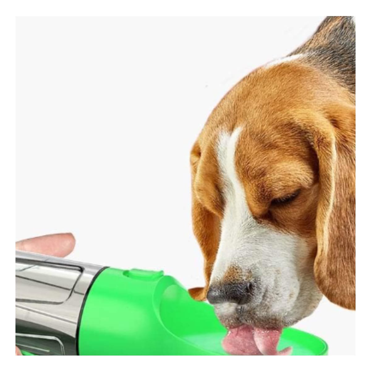 PACK6 IMPLEMENTO 4 EN 1 DISPENSADOR CON BOLSITA VERDE MEDIANO MODERNO - 3