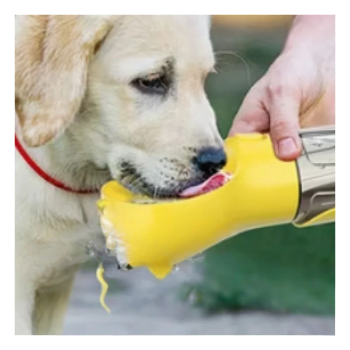 ACCESORIO 4 EN 1 DISPENSADOR CON BOLSITA AMARILLO MEDIANO PARA USO EXTERIOR Y+REGALO STICKER - 5