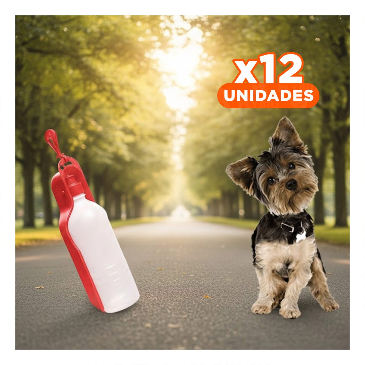 PACK12 RECIPIENTE FUNCIONAL ROJO PARA PERRO CON FORMATO PRACTICO - 1