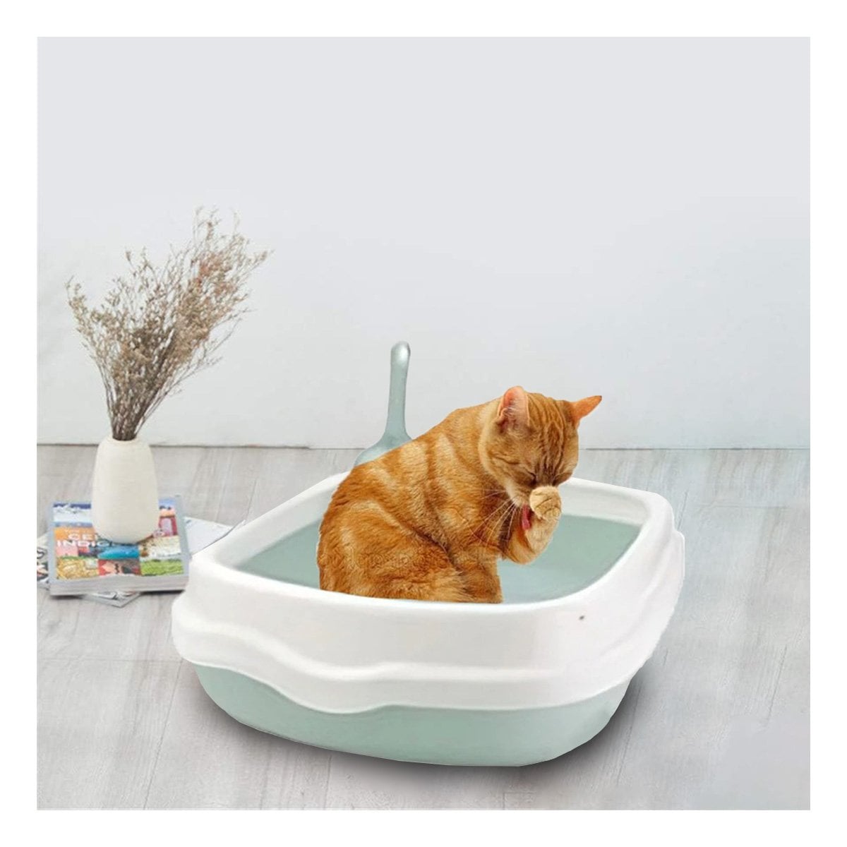 PACK6 ESPACIO VERDE PARA GATO CON PALA CERNIDORA 48X40X12,5 Y+REGALO STICKER - 3