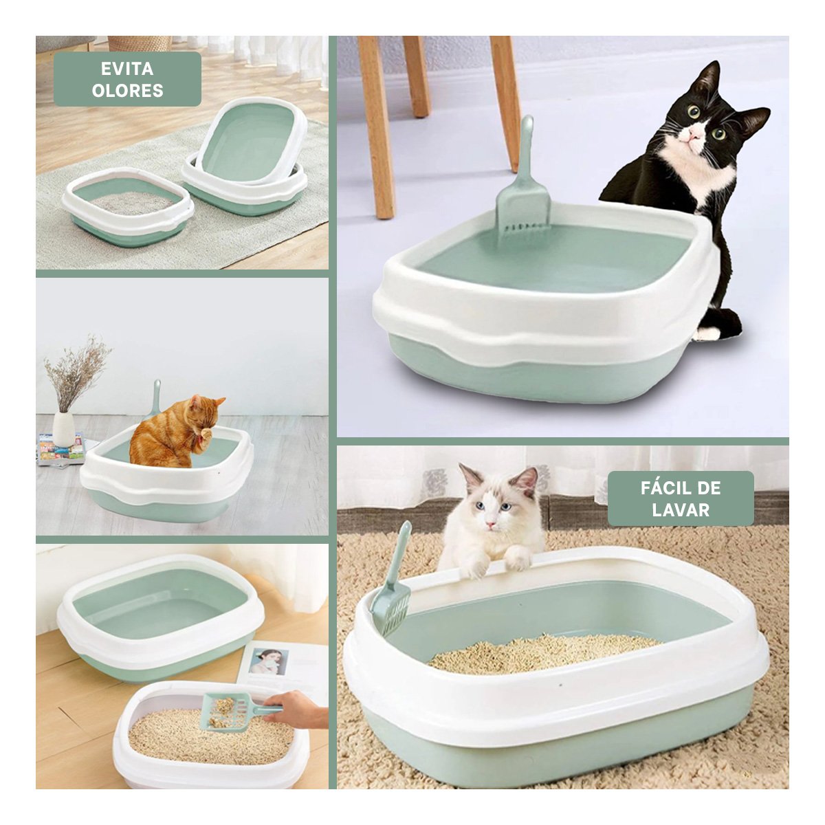 PACK4 MODULO VERDE PARA GATO CON PALA CERNIDORA 48X40X12,5 Y+REGALO STICKER - 2