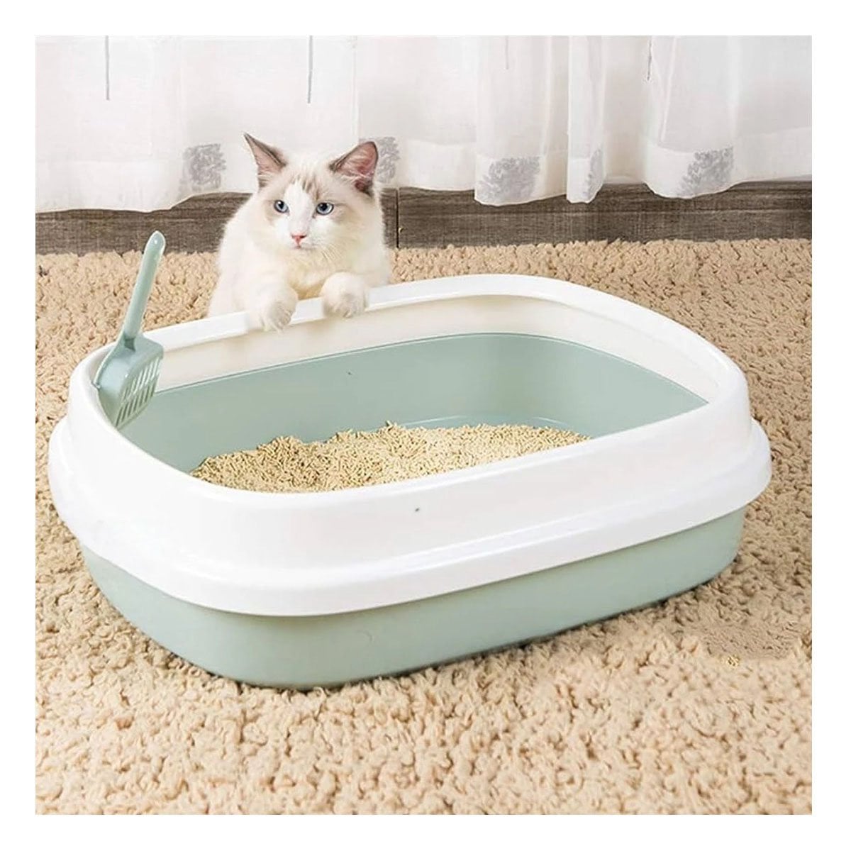 PACK4 MODULO VERDE PARA GATO CON PALA CERNIDORA 48X40X12,5 Y+REGALO STICKER - 3