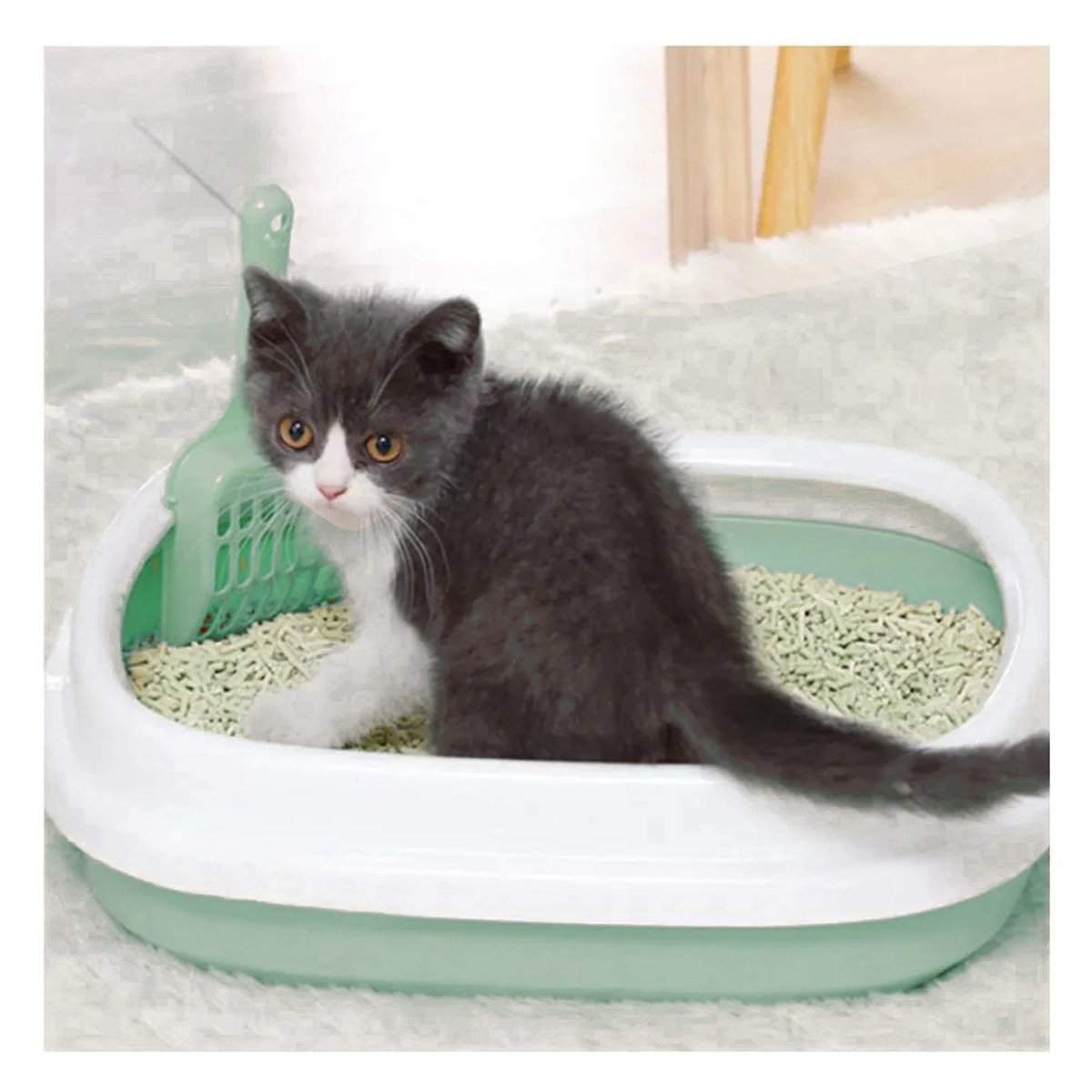 PACK12 BASE VERDE PARA GATO CON PALA CERNIDORA 48X40X12,5 Y+PAPEL REGALO - 3