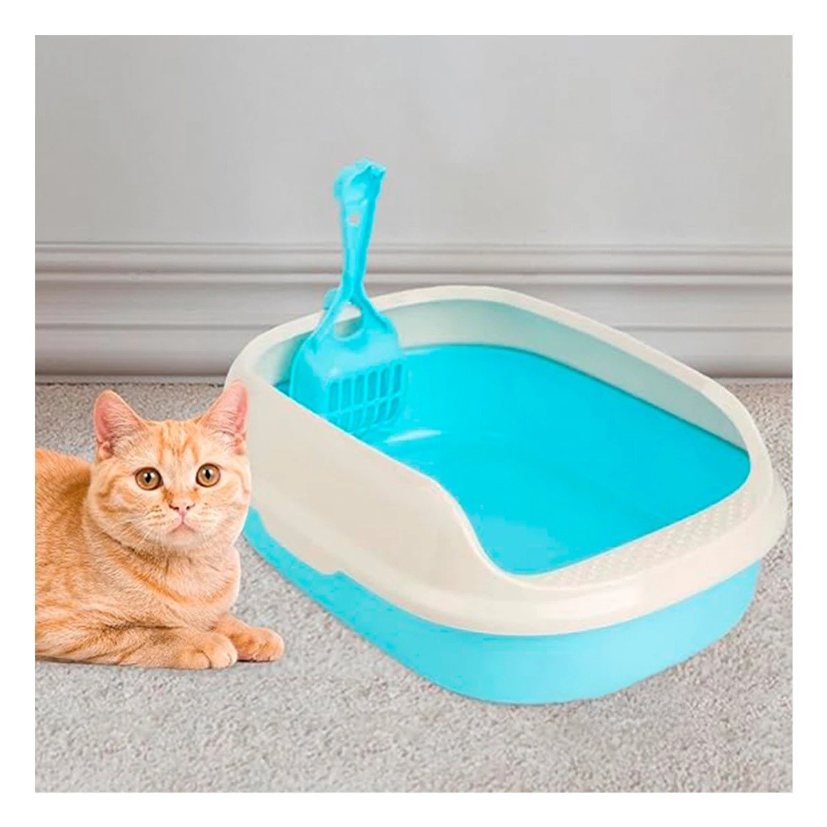 PACK2 CONTENEDOR CELESTE PARA GATO CON BANDEJA EXTRAIBLE ABIERTA Y+REGALO STICKER - 3