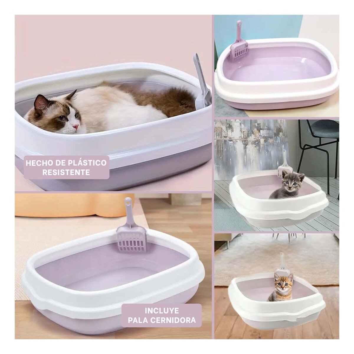 PACK4 MODULO LILA PARA GATO CON PALA CERNIDORA 48X40X12,5 Y+REGALO STICKER - 2