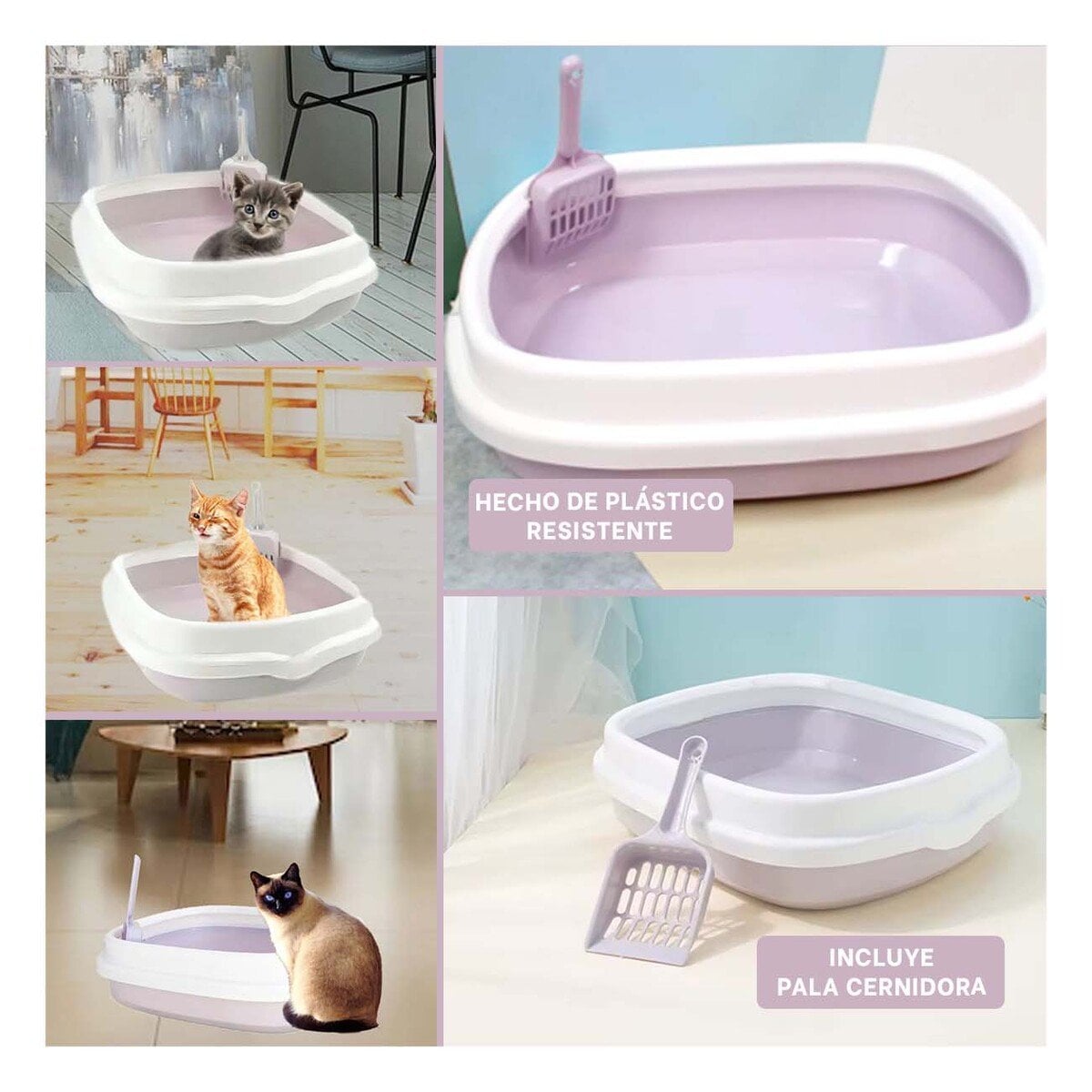 PACK2 RECIPIENTE LILA PARA GATO CON PALA CERNIDORA 48X40X12,5 Y+PAPEL REGALO - 3