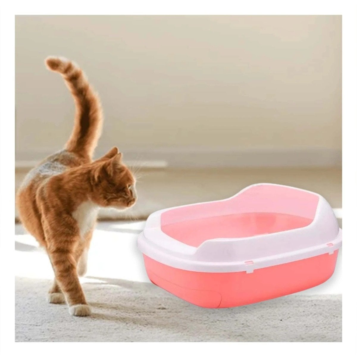 PACK4 MODULO ROSADO PARA GATO CON BANDEJA EXTRAIBLE ABIERTA Y+REGALO STICKER - 3
