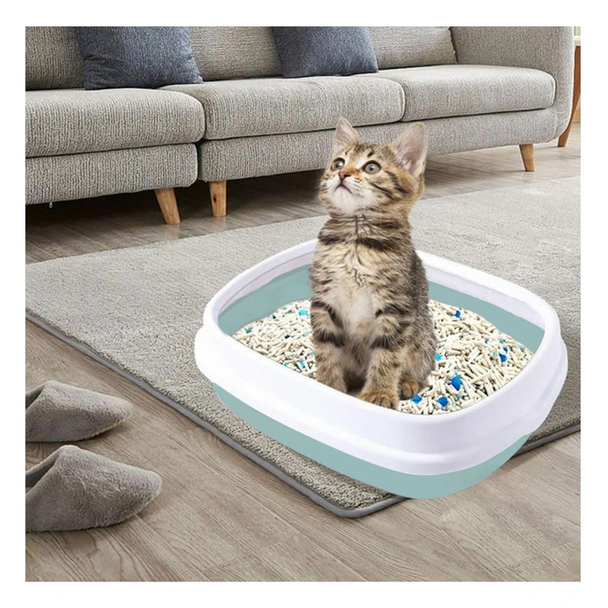 PACK2 BANDEJA CELESTE PARA GATO CON PALA CERNIDORA 48X40X12,5 - 3