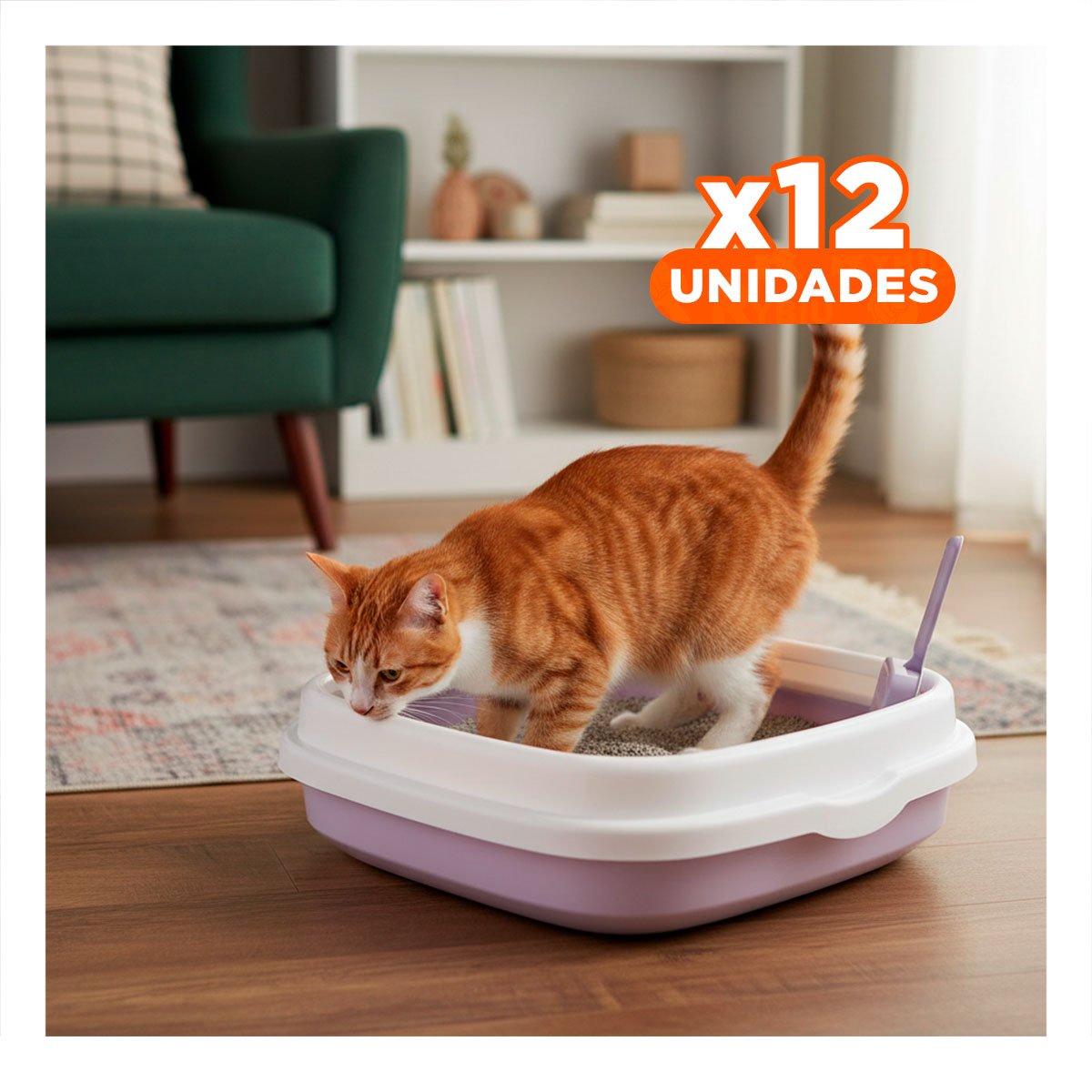 PACK12 ZONA LILA PARA GATO CON PALA CERNIDORA 48X40X12,5 - 1