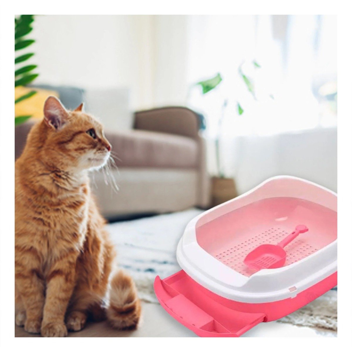 PACK4 SISTEMA ROSADO PARA GATO CON BANDEJA EXTRAIBLE ABIERTA Y+PAPEL REGALO - 2