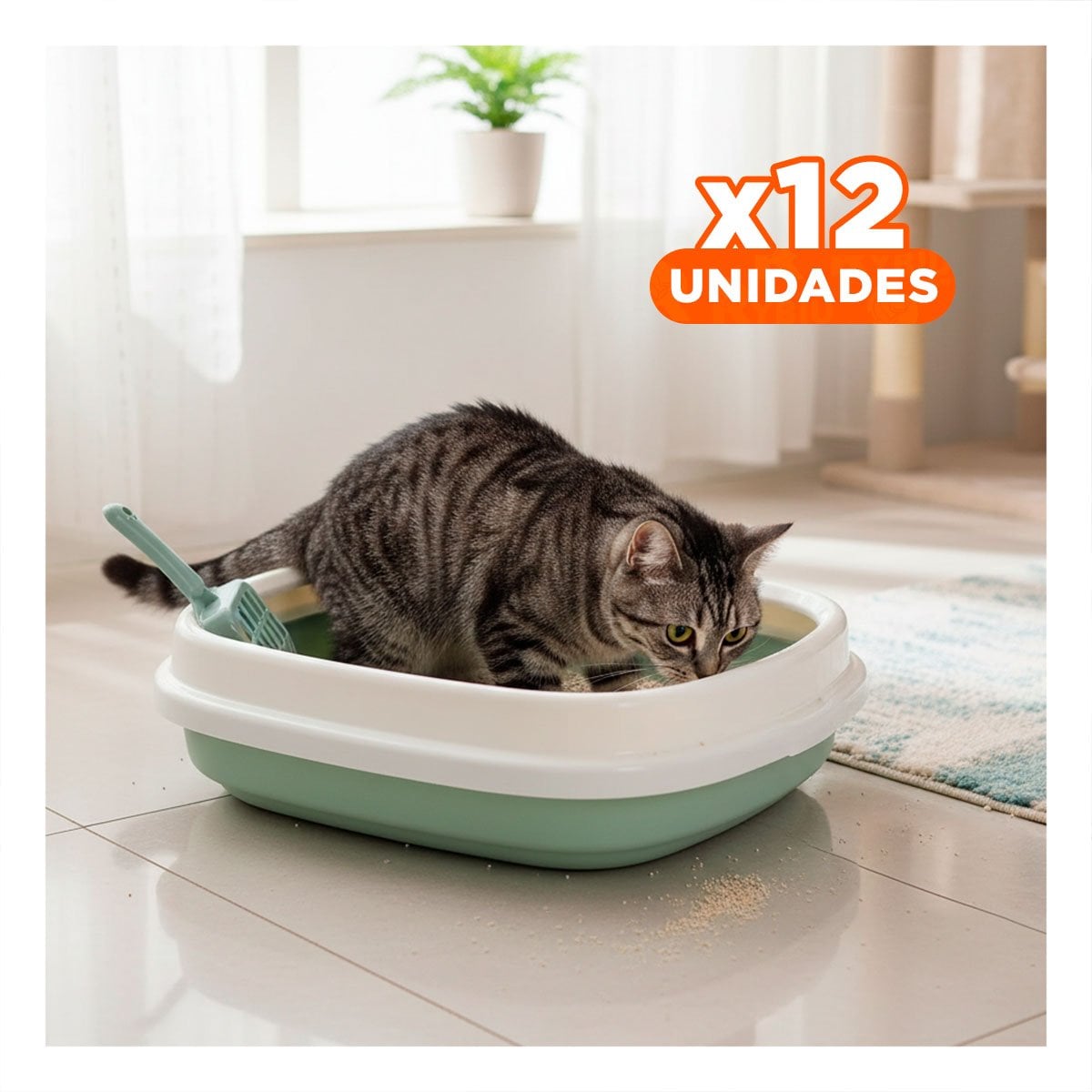 PACK12 ZONA CELESTE PARA GATO CON PALA CERNIDORA 48X40X12,5 - 1