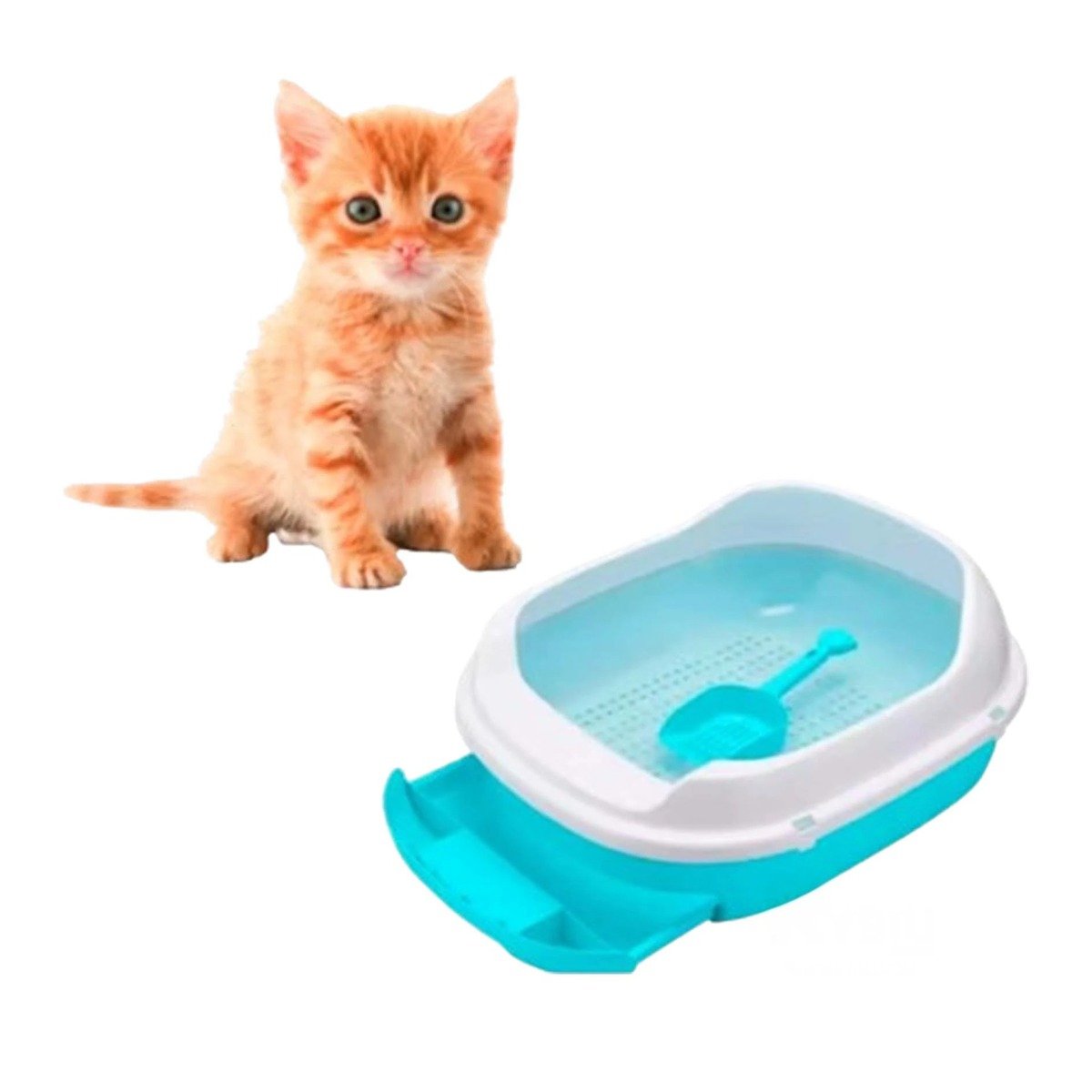 PACK4 SISTEMA CELESTE PARA GATO CON BANDEJA EXTRAIBLE ABIERTA Y+PAPEL REGALO - 3