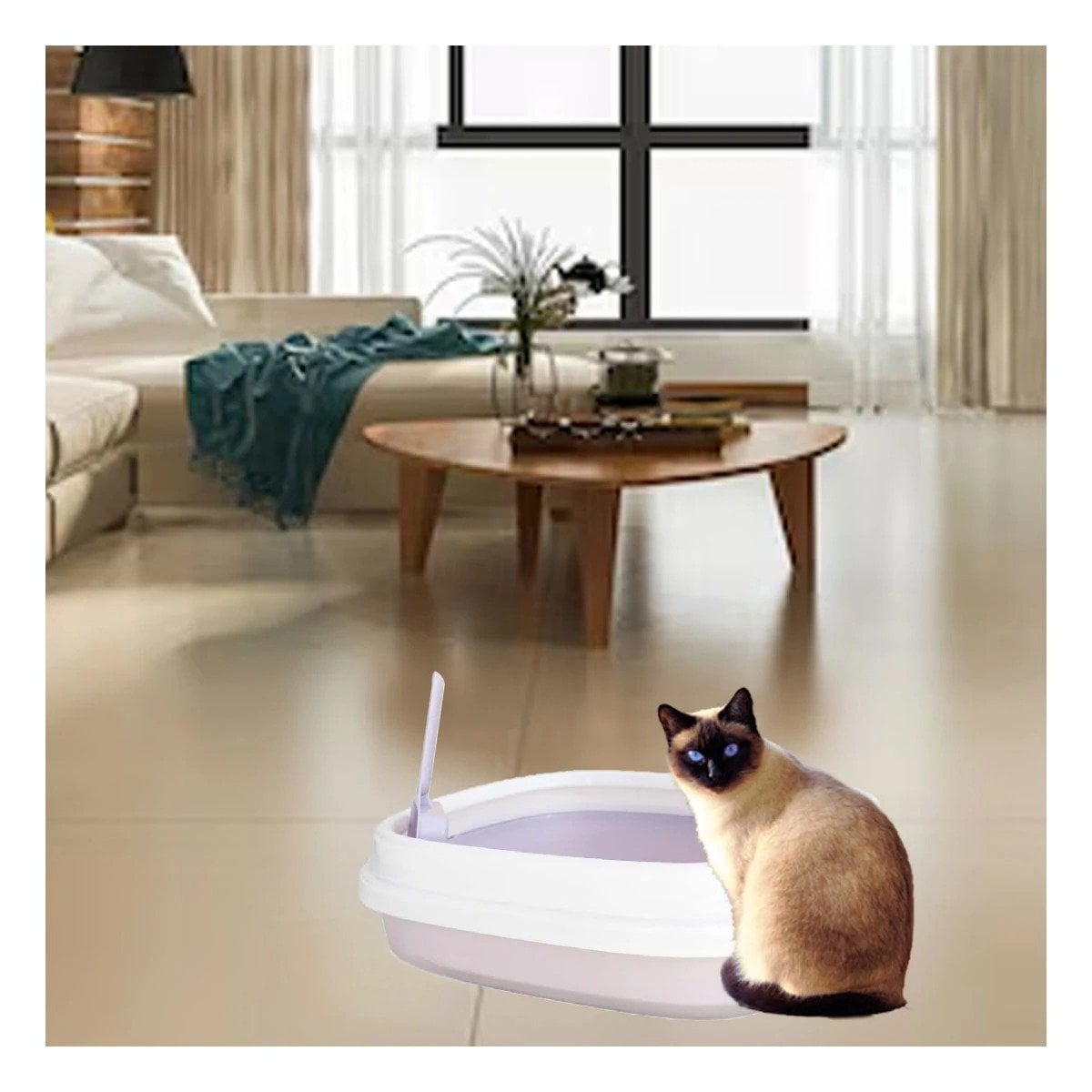 PACK2 BANDEJA LILA PARA GATO CON PALA CERNIDORA 48X40X12,5 - 2
