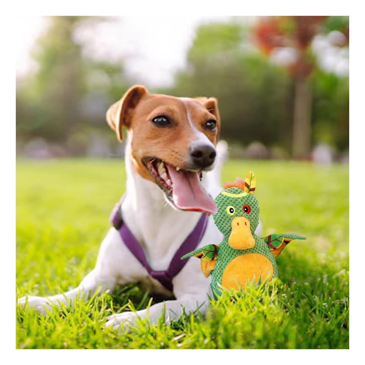 PACK2 JUGUETE COMPACTO DE PATO SELVATICO VERDE PARA MASCOTA EN HOGAR Y+PAPEL REGALO - 2