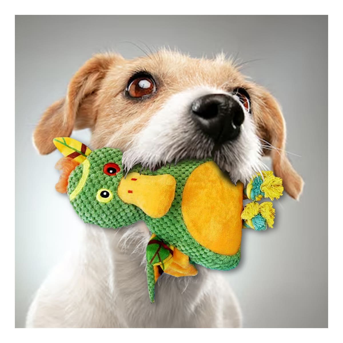 PACK2 JUGUETE COMPACTO DE PATO SELVATICO VERDE PARA MASCOTA EN HOGAR Y+PAPEL REGALO - 5