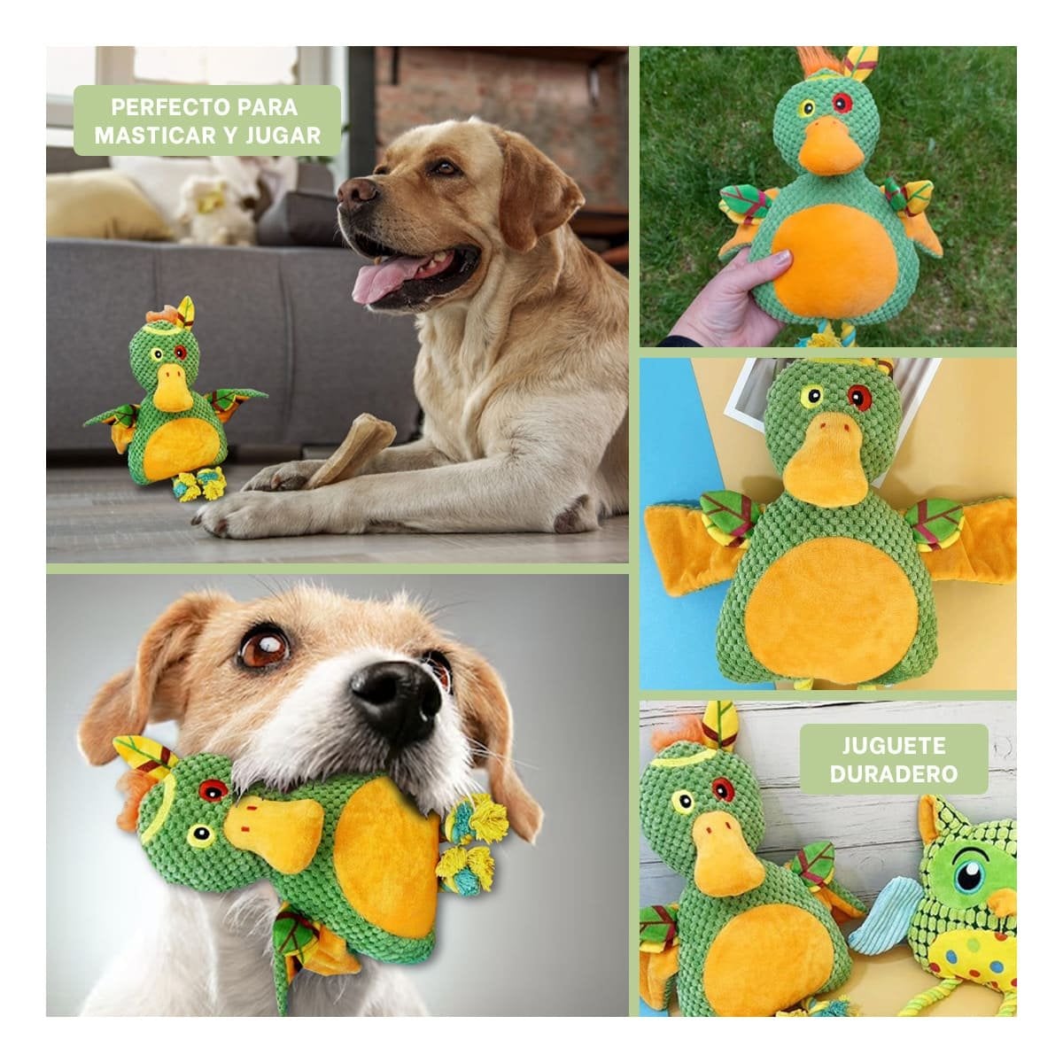 PACK4 MORDEDOR FLEXIBLE DE PATO SELVATICO VERDE PARA MASCOTA Y+REGALO STICKER - 2
