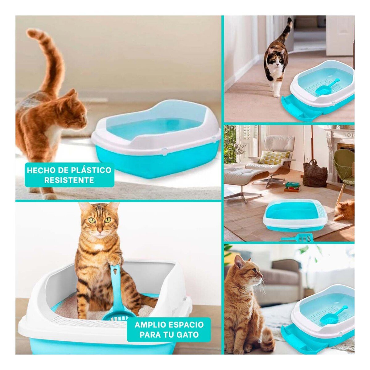 PACK4 MODULO CELESTE PARA GATO CON BANDEJA EXTRAIBLE ABIERTA Y+REGALO STICKER - 2