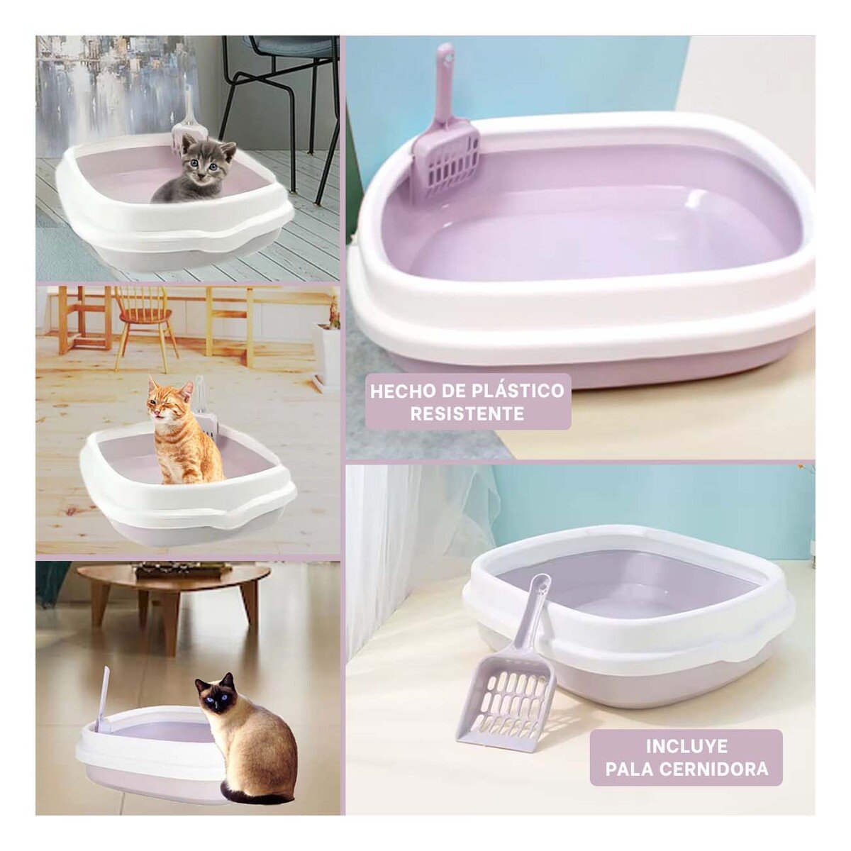 PACK6 AREA LILA PARA GATO CON PALA CERNIDORA 48X40X12,5 Y+PAPEL REGALO - 3