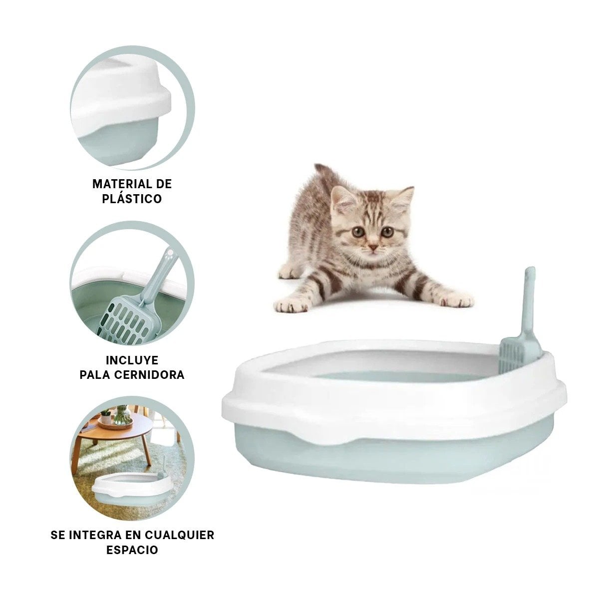 PACK6 ESPACIO CELESTE PARA GATO CON PALA CERNIDORA 48X40X12,5 Y+REGALO STICKER - 2