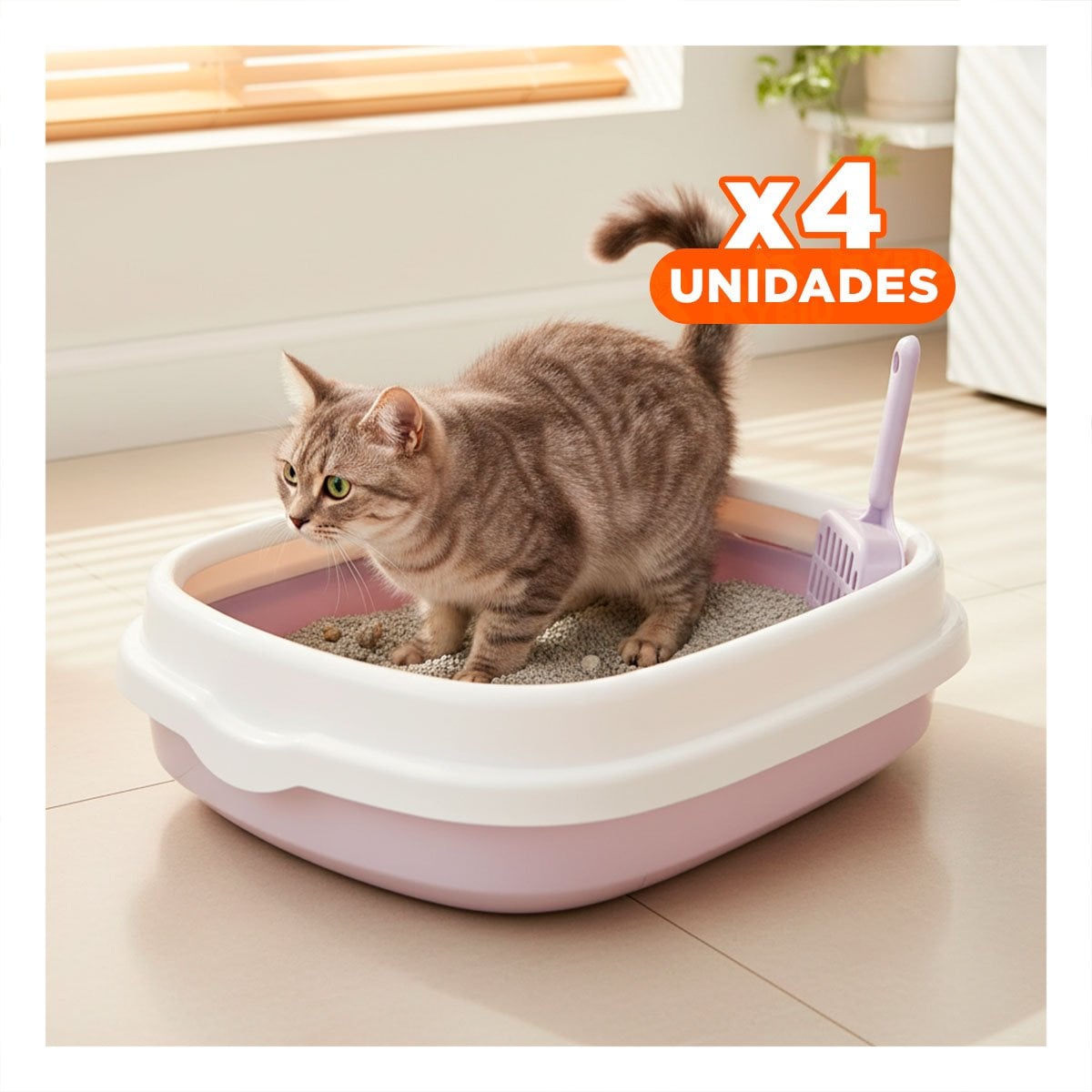 PACK4 ESTACION LILA PARA GATO CON PALA CERNIDORA 48X40X12,5 - 1