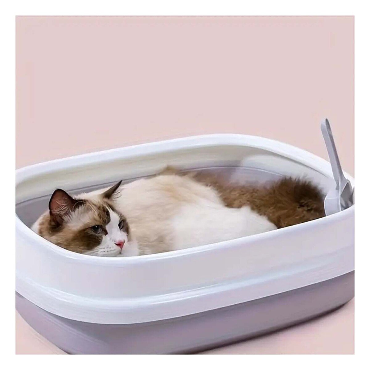 PACK4 ESTACION LILA PARA GATO CON PALA CERNIDORA 48X40X12,5 - 5