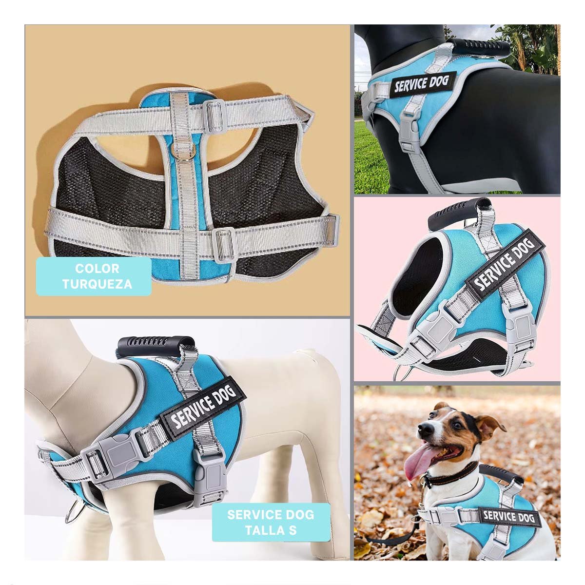 ARNES CON ASA SERVICE DOG TALLA S TURQUEZA CON CORREAS FIRMES Y+POST IT - 5